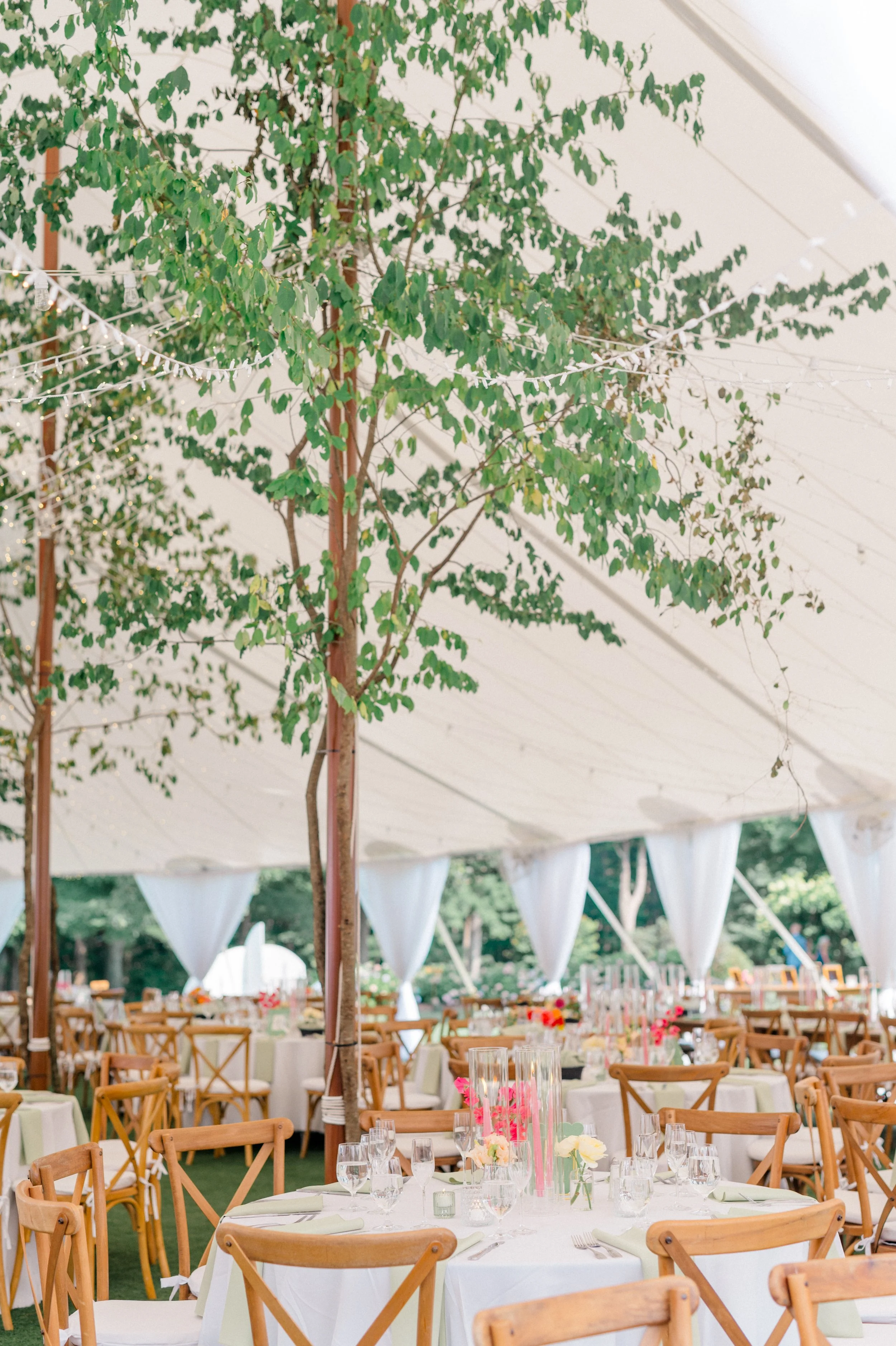 Colorful reception décor glowing with candlelight and sustainable floral design
