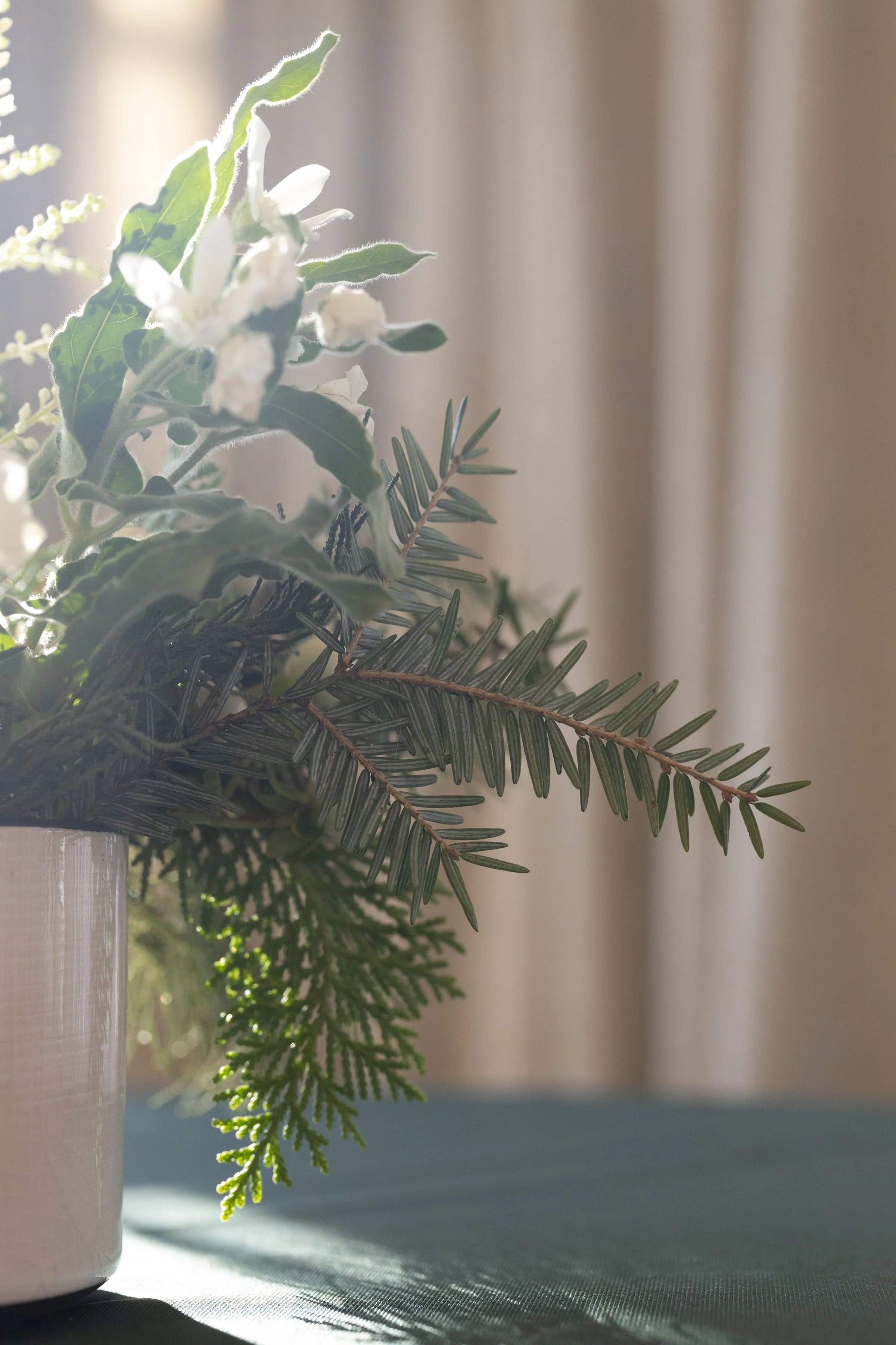 Detail of a birch bark pot holding white roses, spray roses and spruce for a winter corporate celebration