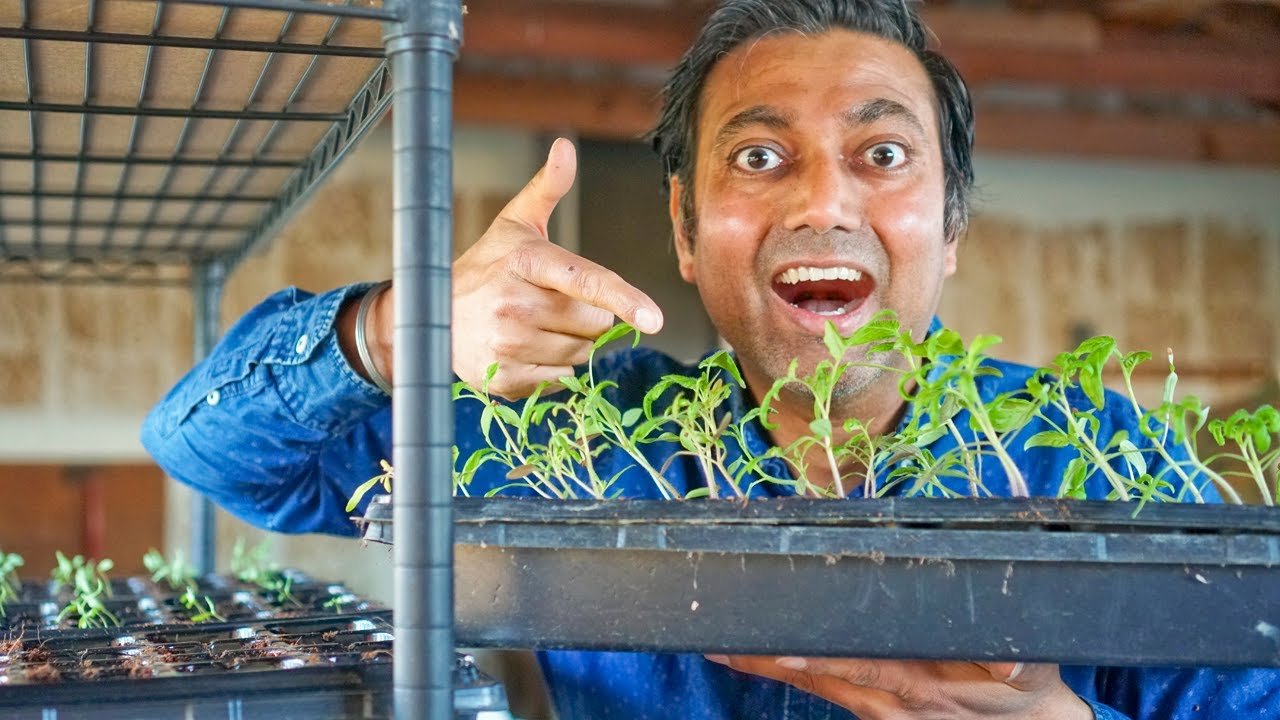 Growing Tips That Will Change Your Life