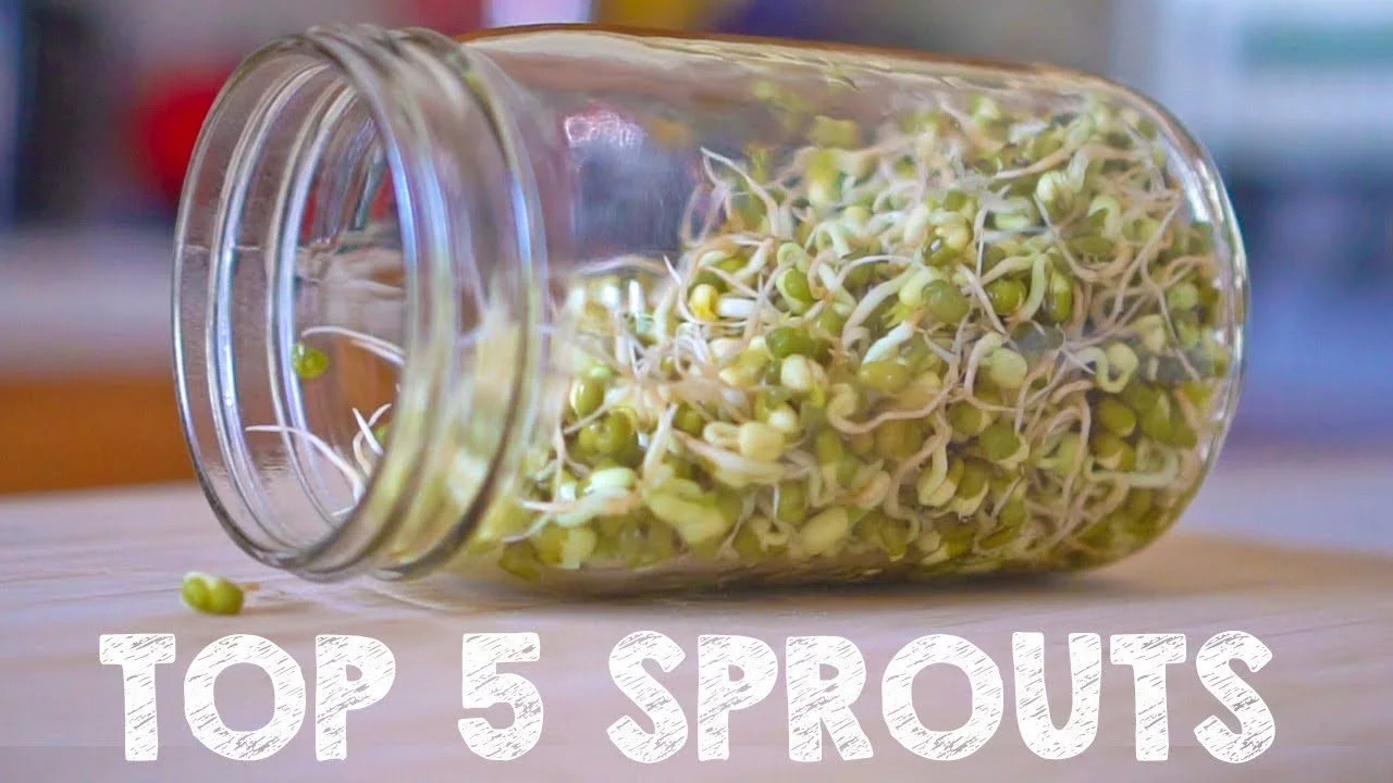 The Ultimate Guide to Growing Five Essential Sprouts at Home