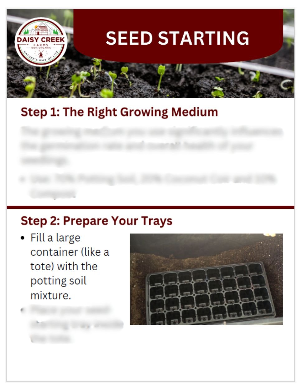 Seed Starting-01.jpg
