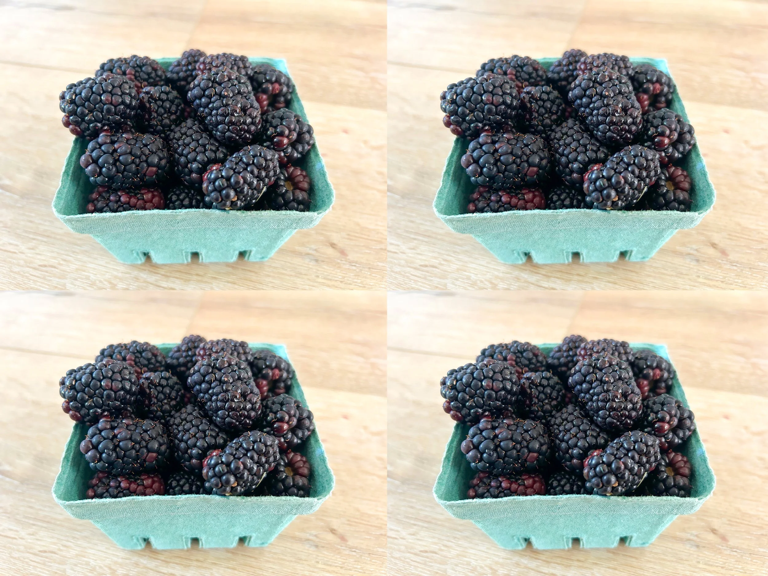 blackberry-4pints.jpg