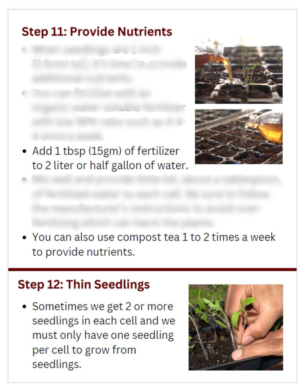 Seed Starting-04.jpg