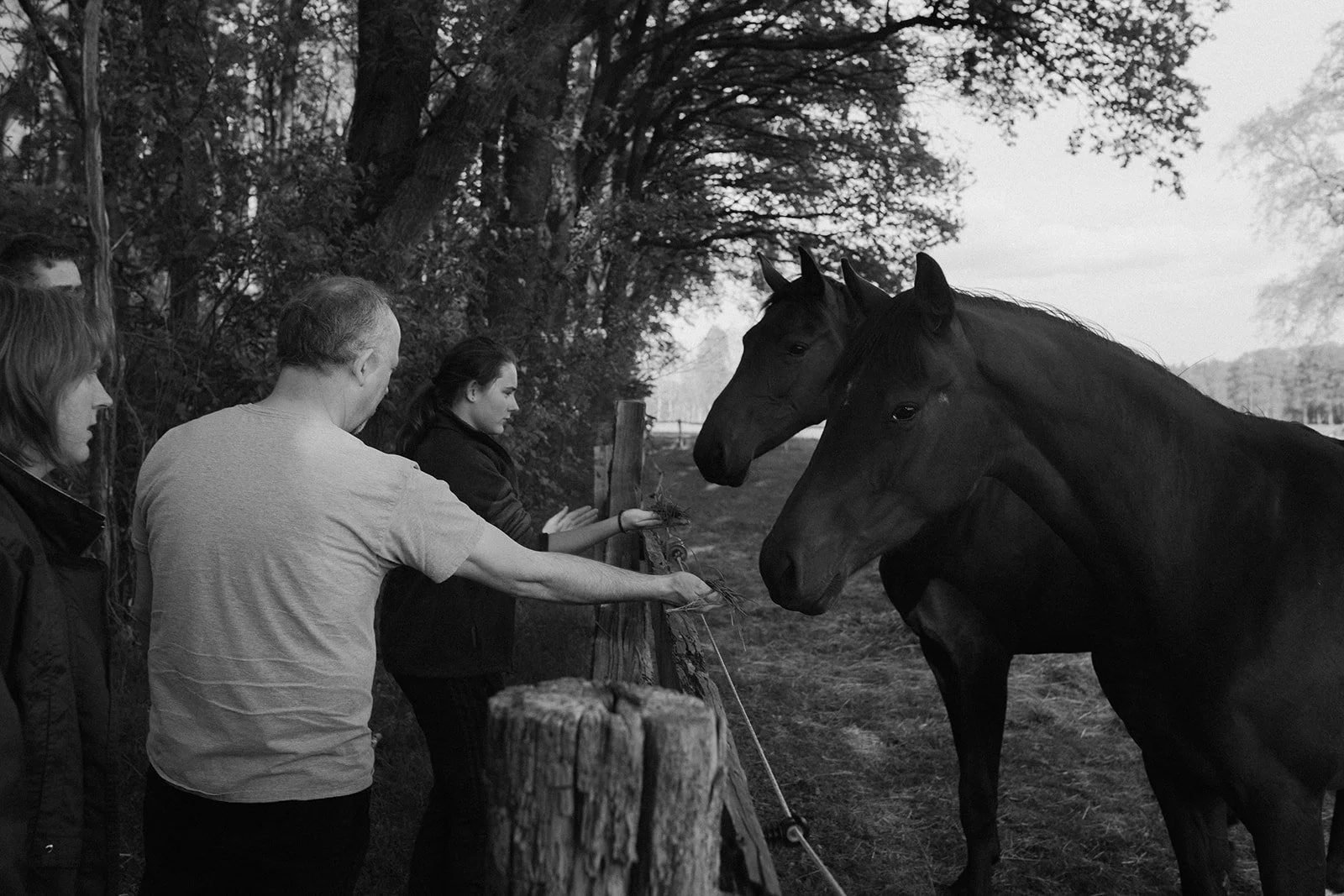 BWP Germany day 1-3.jpg