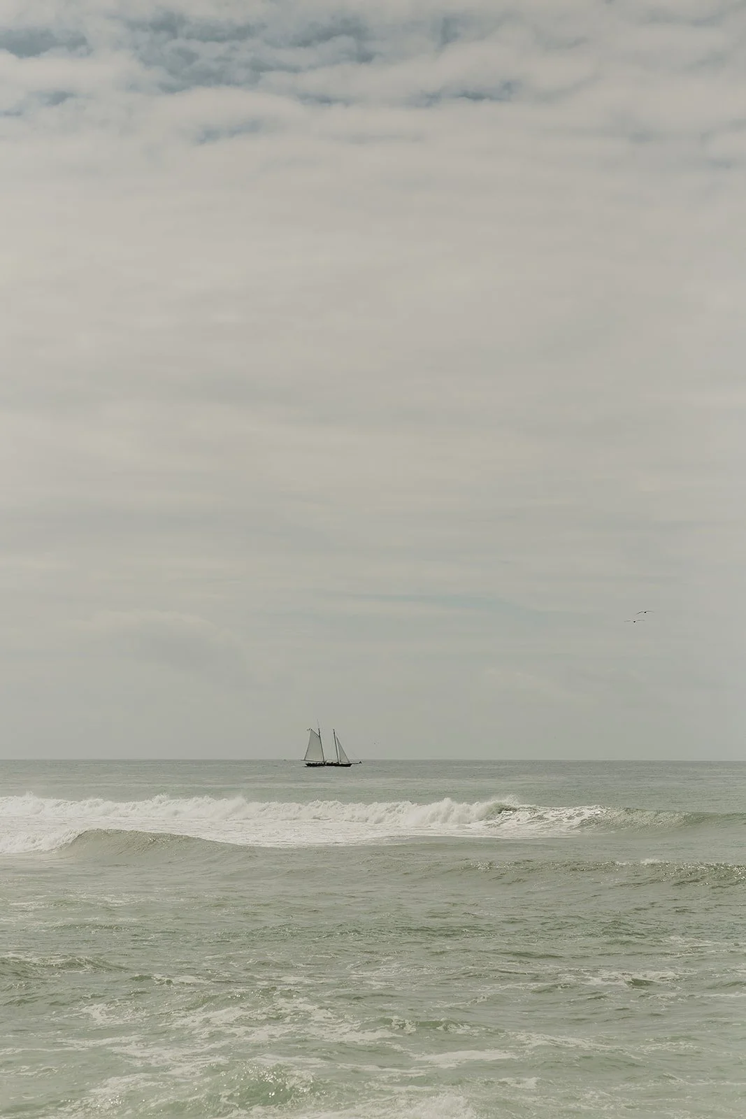 BWP SanDiego-2_websize.jpg