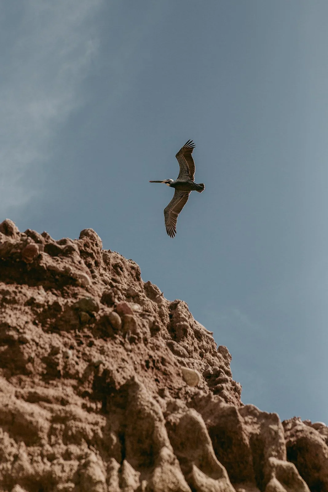 BWP SanDiego-20_websize.jpg