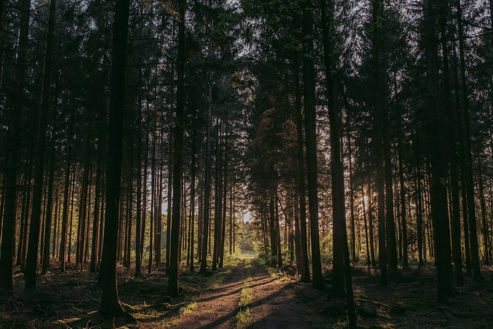 BWP Germany day 1-49_websize.jpg