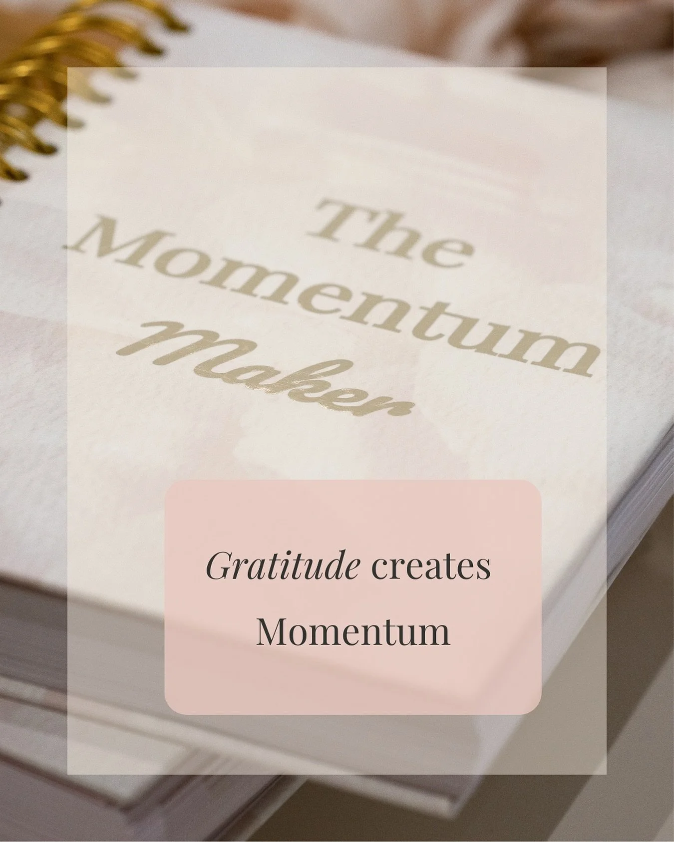 Gratitude Creates Momentum ✨

Gratitude isn&rsquo;t just about saying &ldquo;thank you.&rdquo;
It&rsquo;s a state of being that opens your heart, expands your perspective, and aligns your energy with abundance.

It&rsquo;s the morning coffee that war