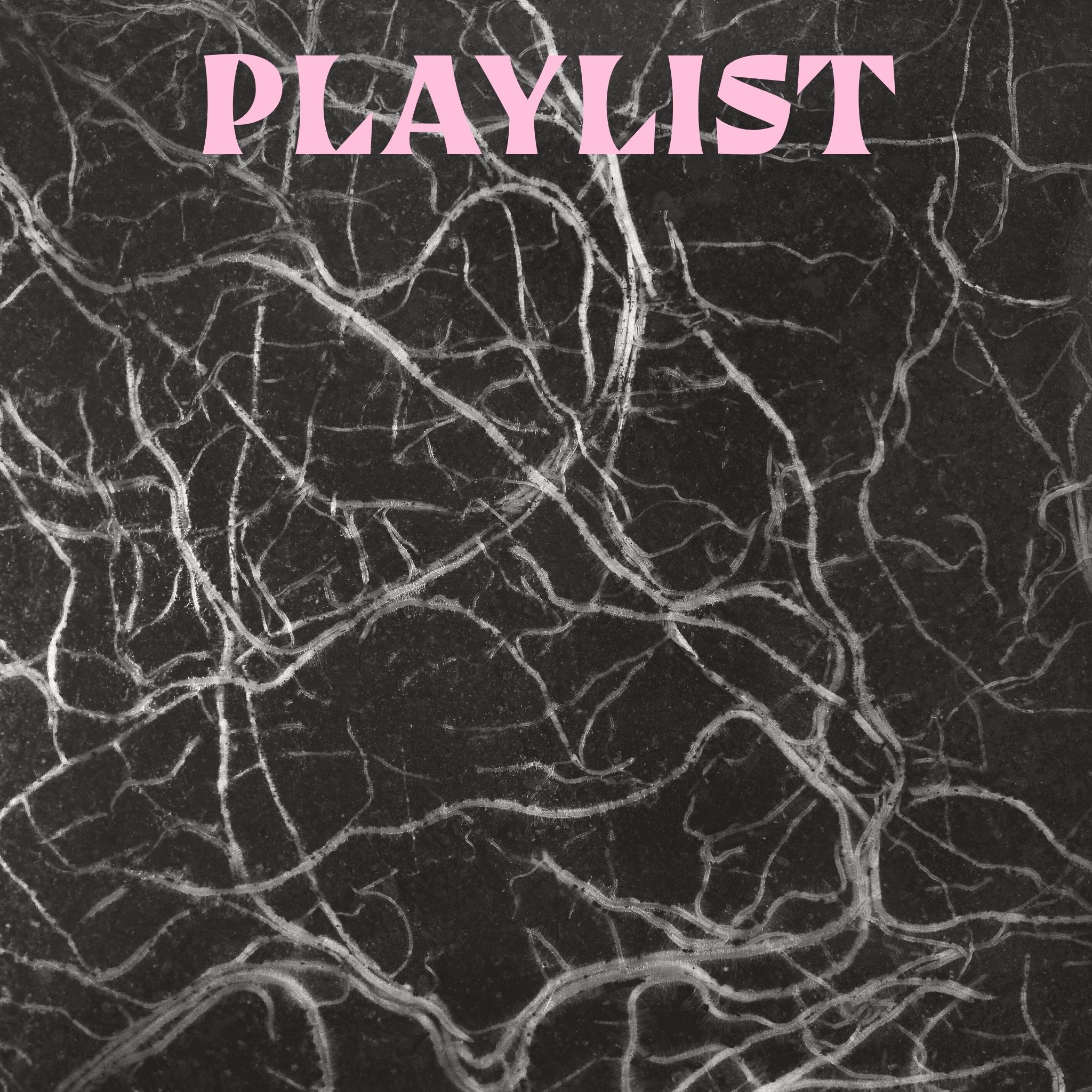 An image of a back and white root system is overlaid with the word: Playlist