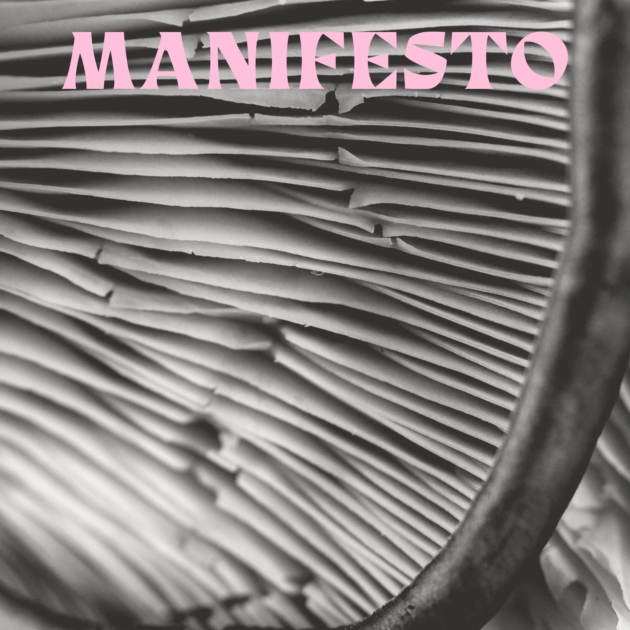 A image of a black and white mushroom is overlaid with the word: Manifesto