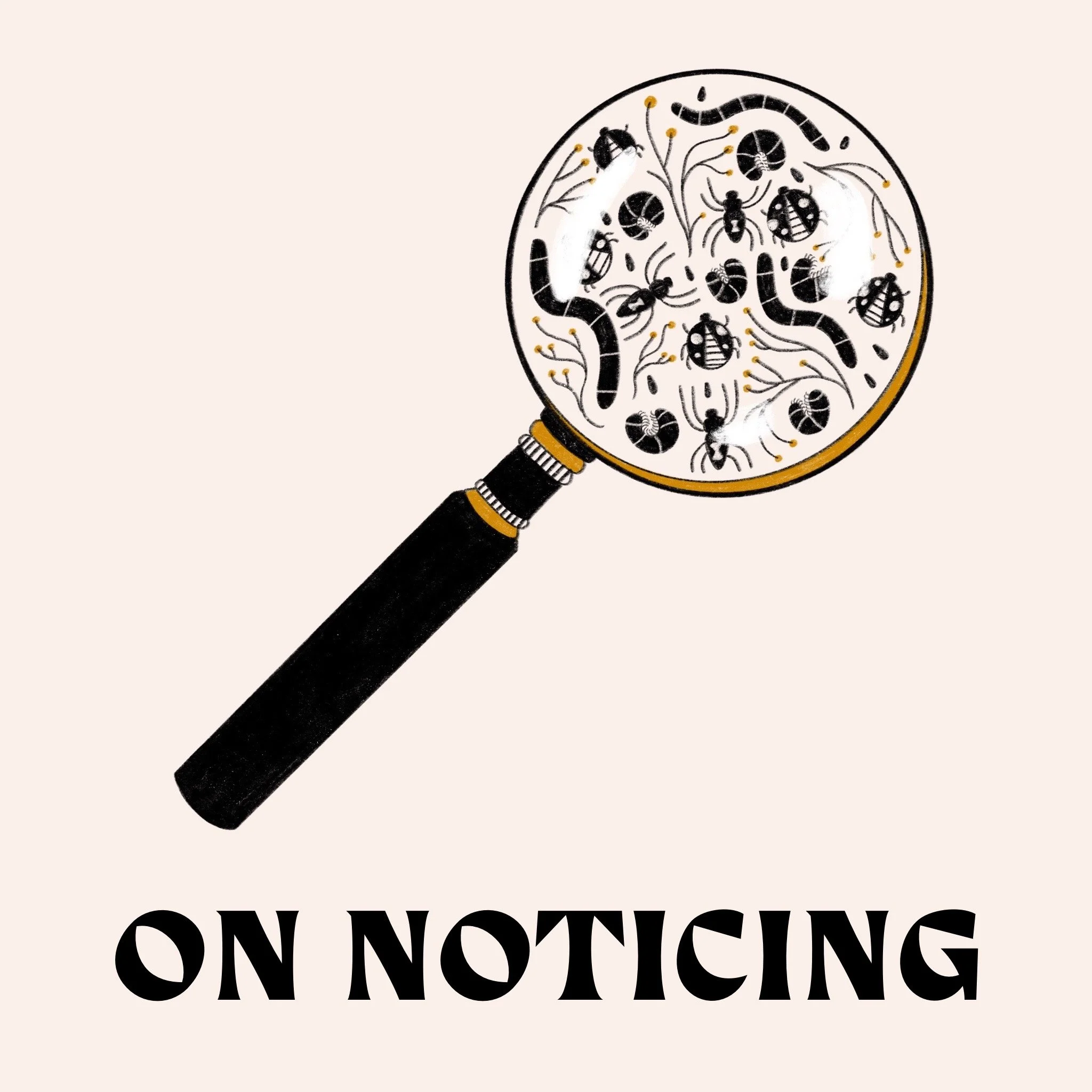 Image of a magnifying glass with an assortment of bugs. Text reads: On Noticing