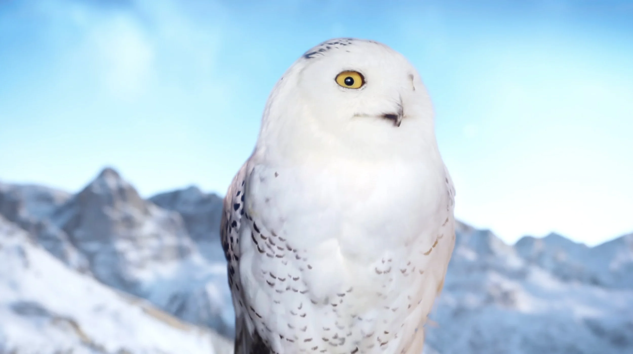 Screenshot 2026-02-05 at 12.44.33 PM.jpg