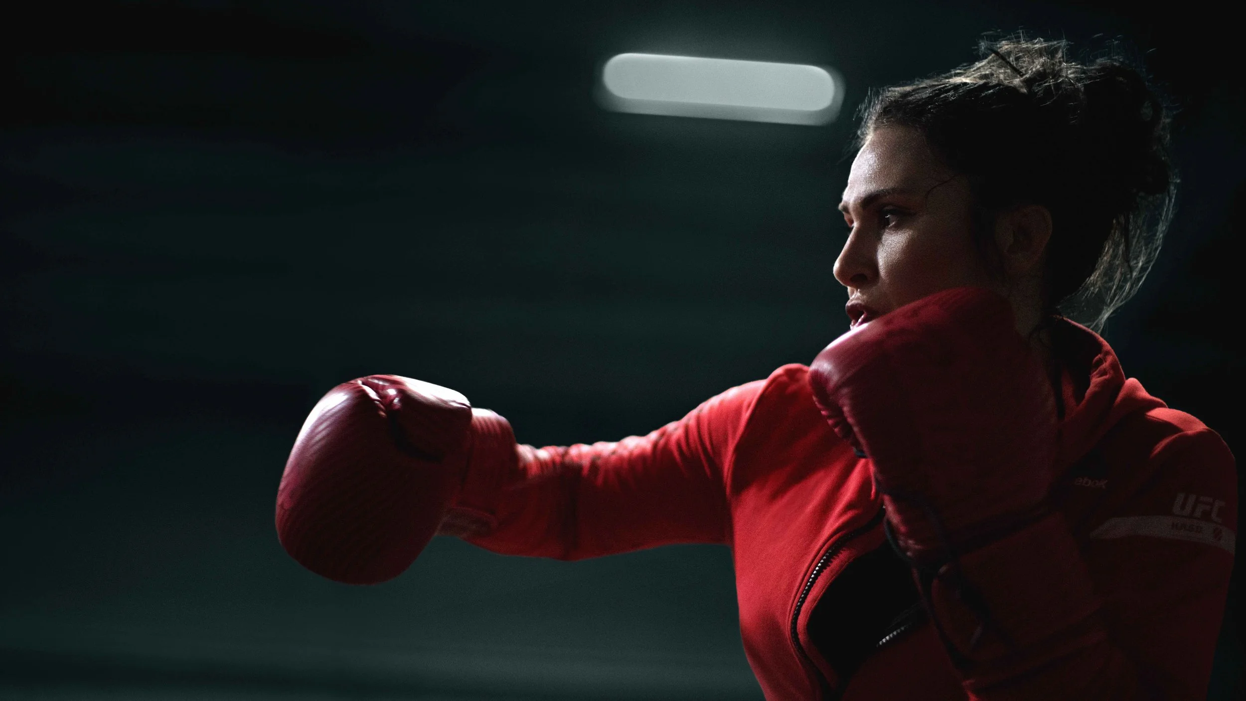 cat zingano 01.jpg