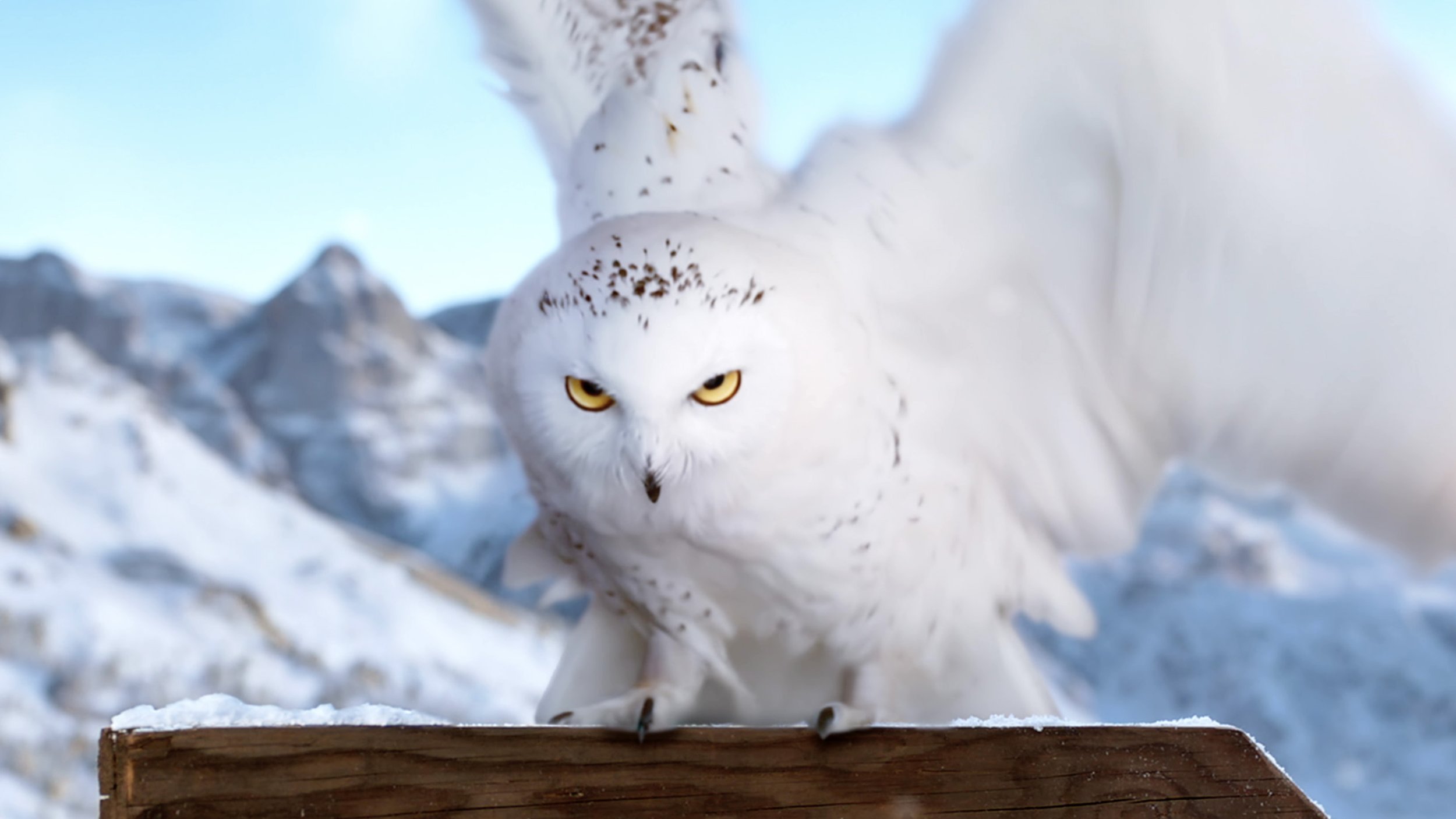 Screenshot 2026-02-05 at 12.44.01 PM.jpg