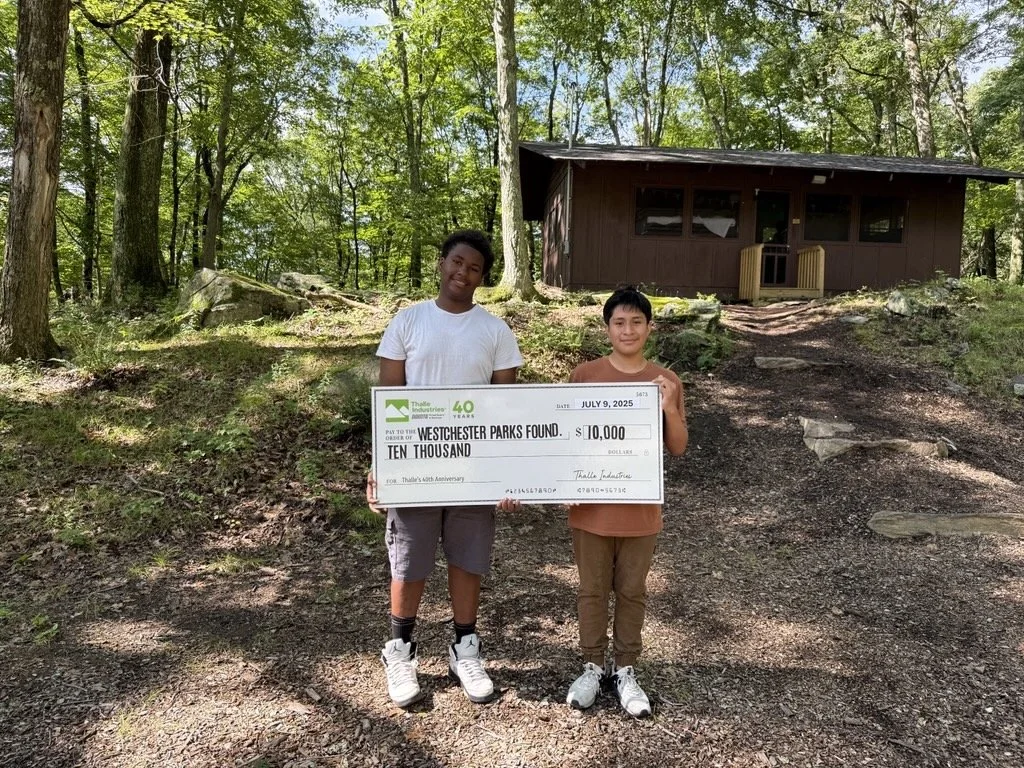 Image - 2026-01-12T105108.014.jpg