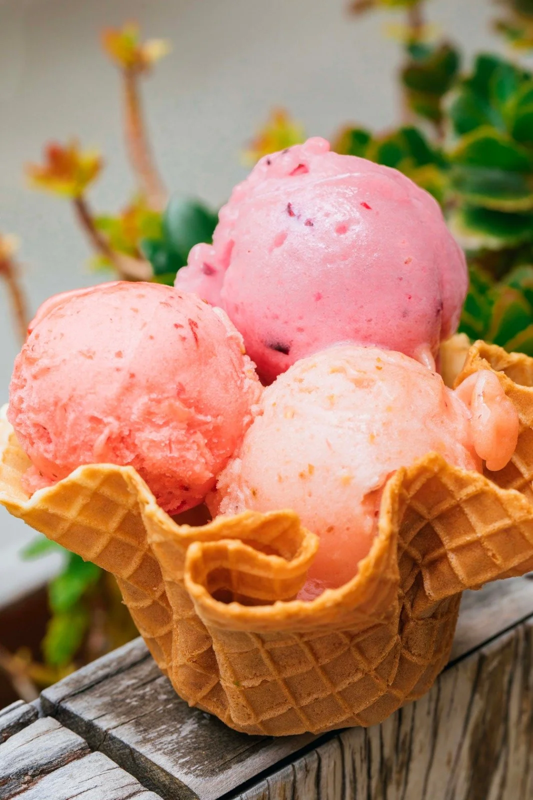 WhatsApp Image 2025-11-21 at 09.18.14 (1).jpeg