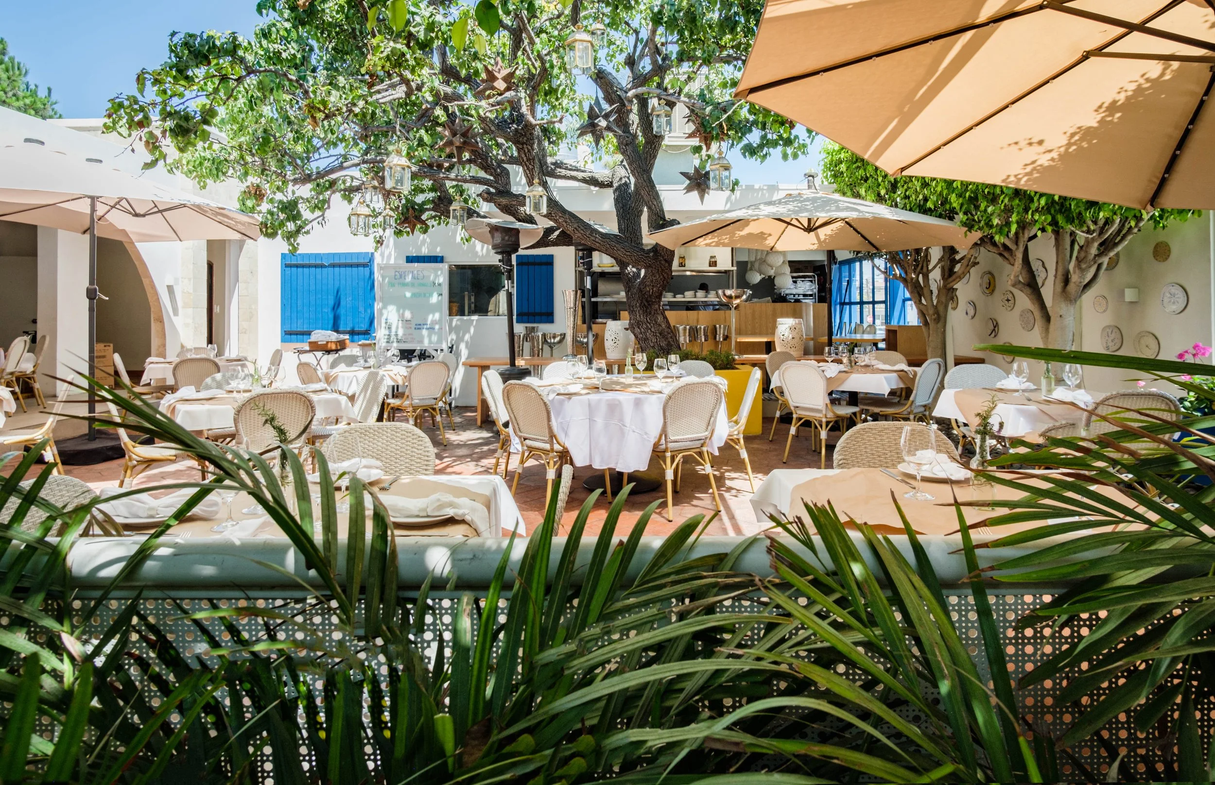 20210804-Ziba - 016.jpg