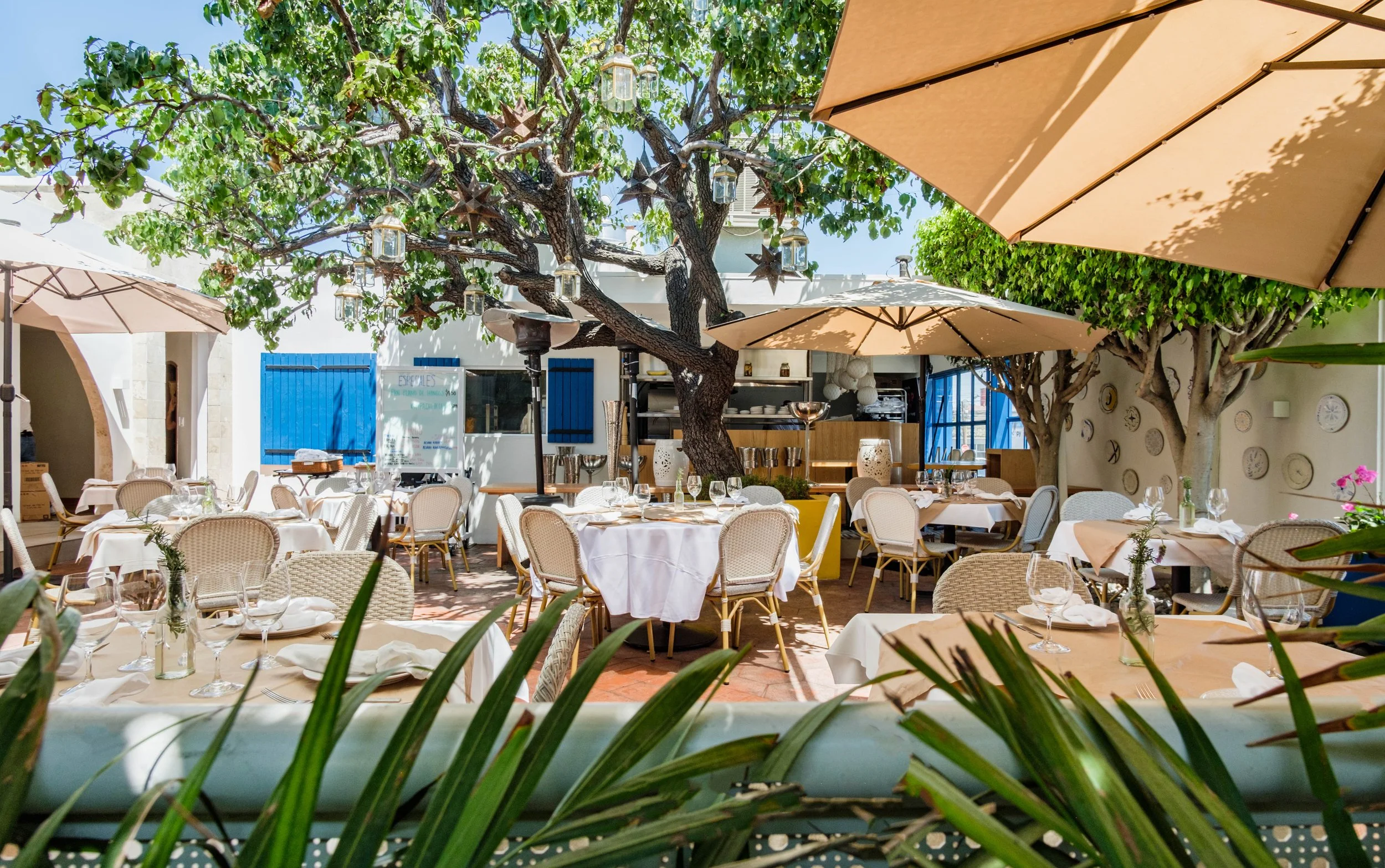 20210804-Ziba - 017.jpg