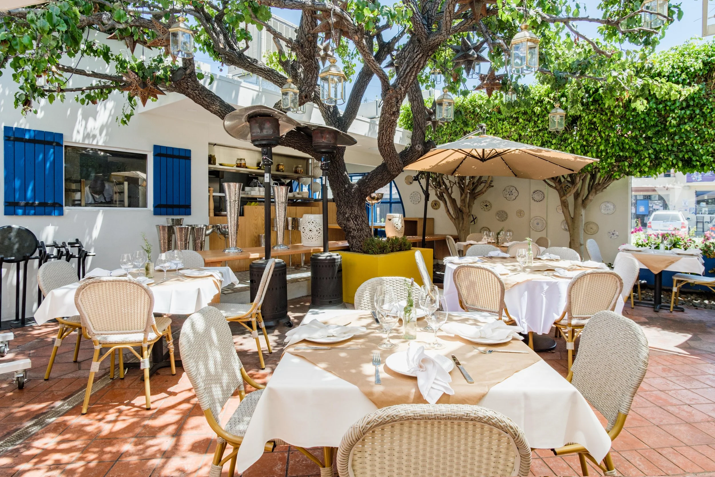 20210804-Ziba - 008.jpg