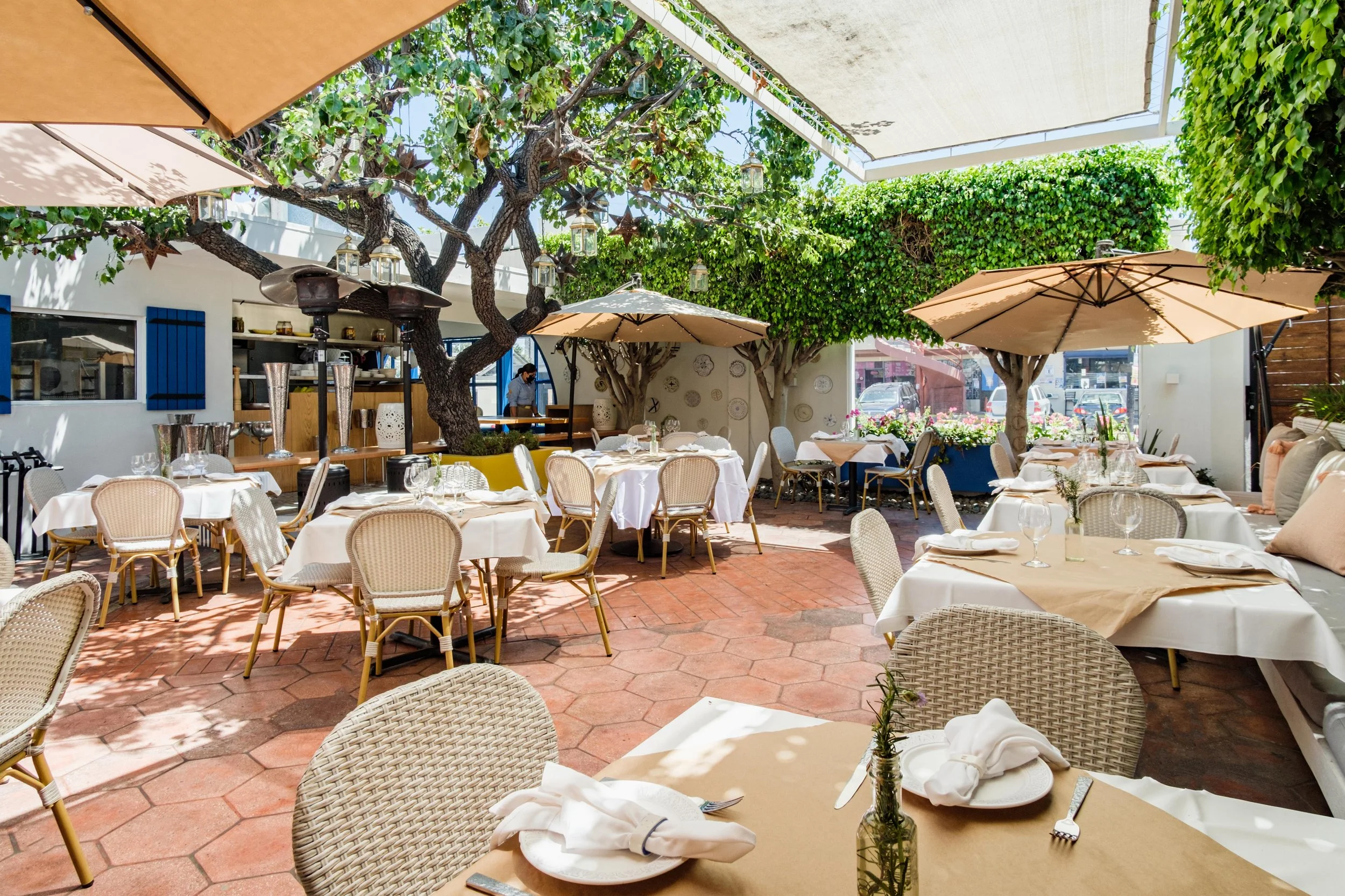 20210804-Ziba - 007.jpg