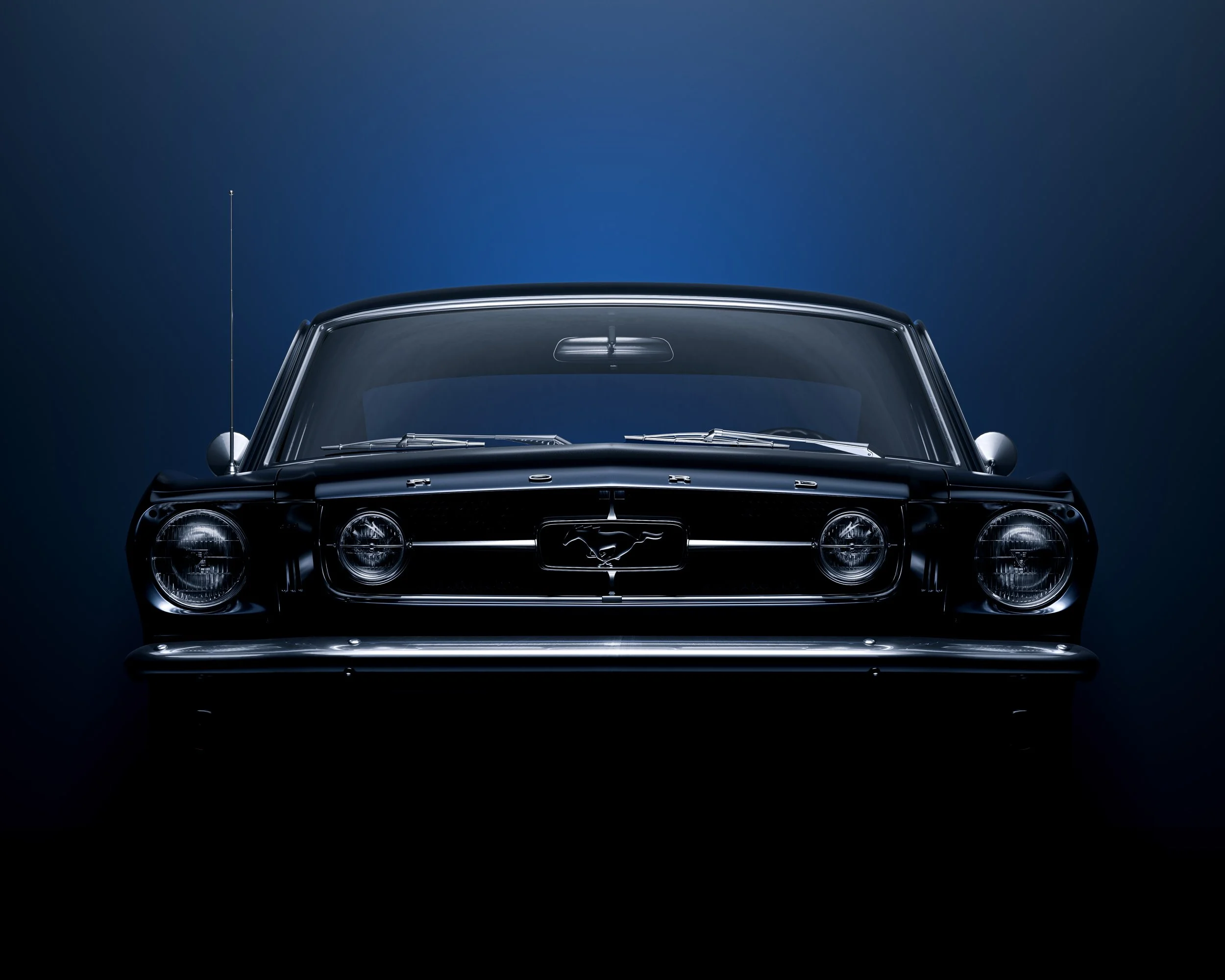23_003_MUSTANG_v002.jpg