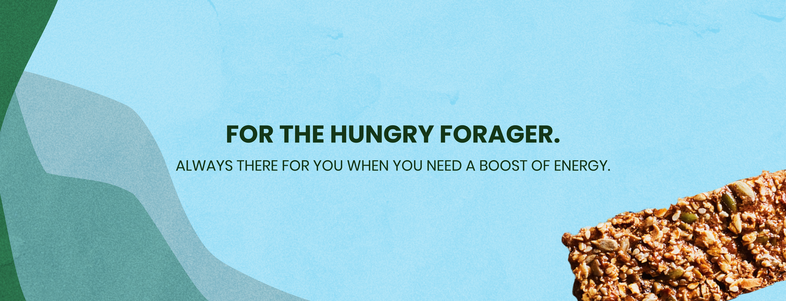field-snack-site-banner.png