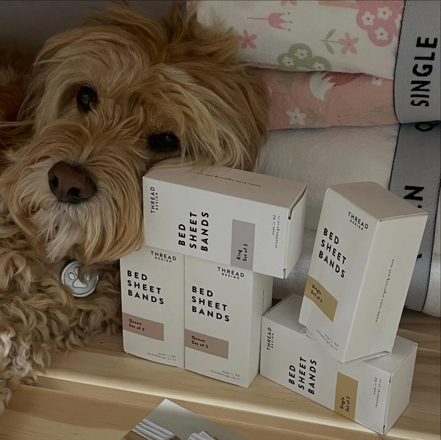 These clever bed sheet bands from @threaddesign_nz make keeping the linen cupboard tidy simple and effortless. I love that they are New Zealand made ❤️ and simple to use #inhomeorganization #queenstown