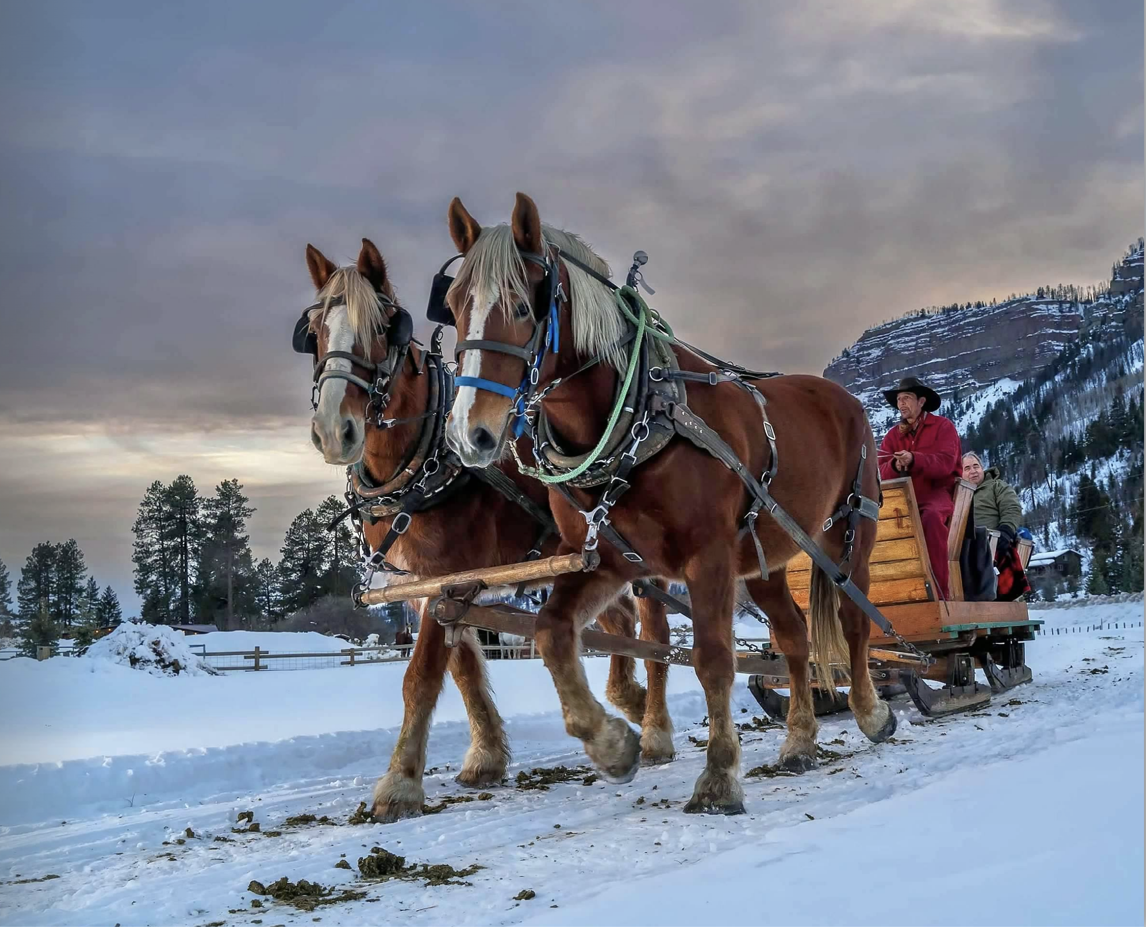 Screen Shot 2026-01-08 at 2.18.08 PM.png