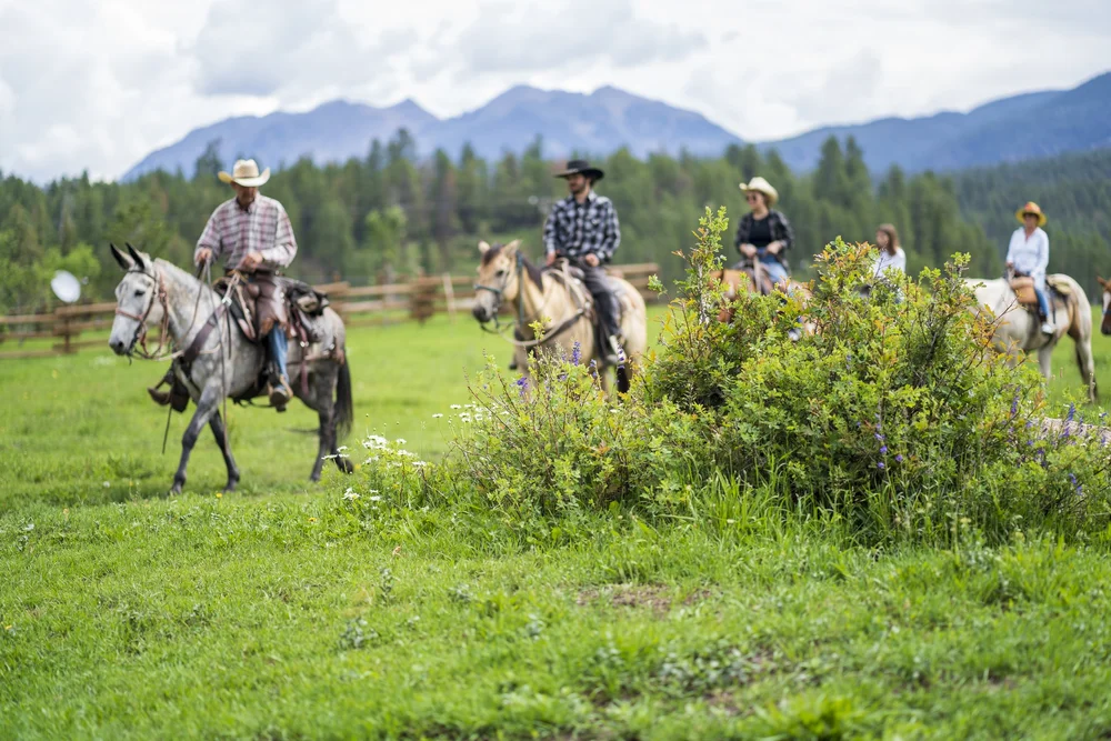 Bears Ranch | Durango, Colorado