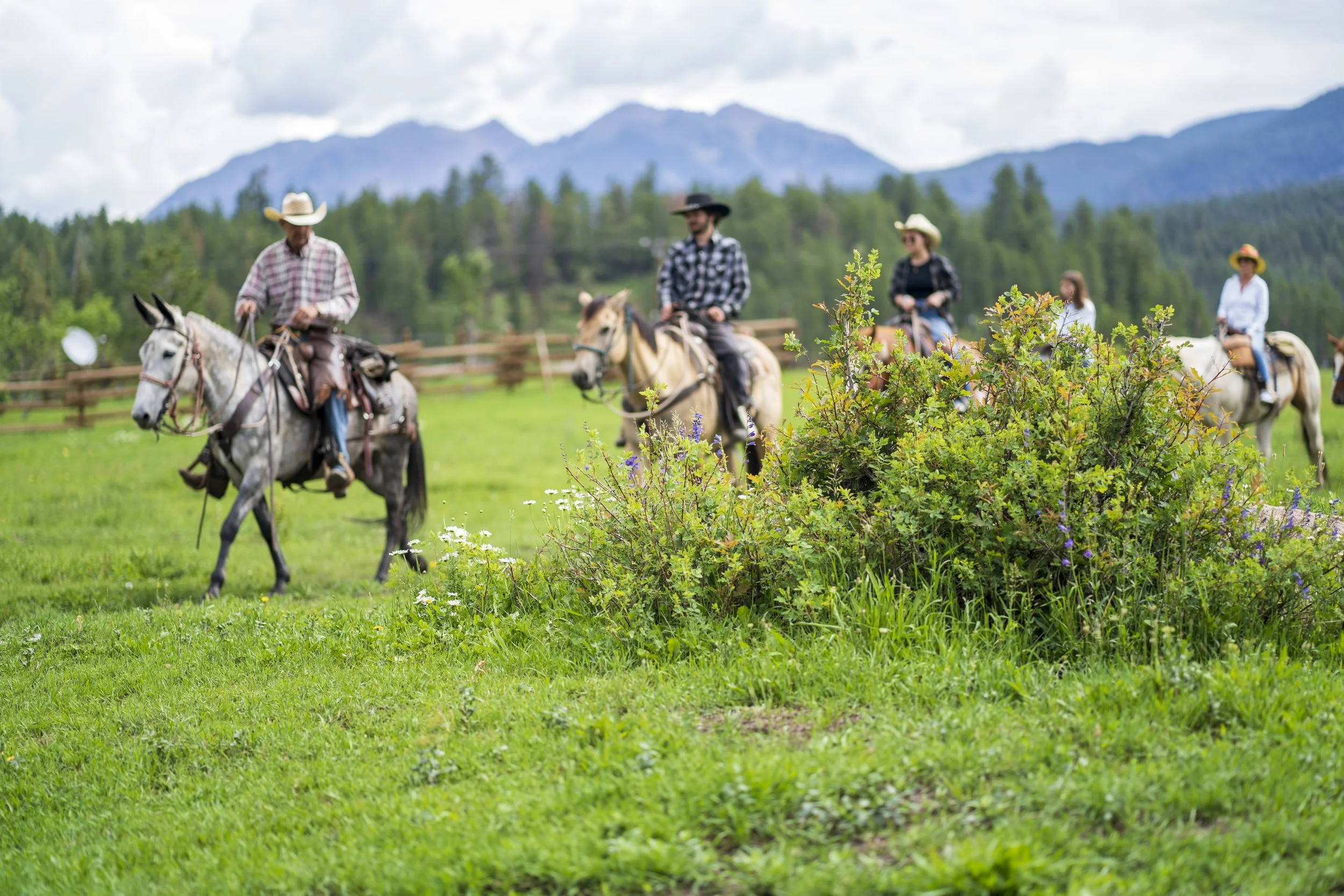 Bears Ranch | Durango, Colorado