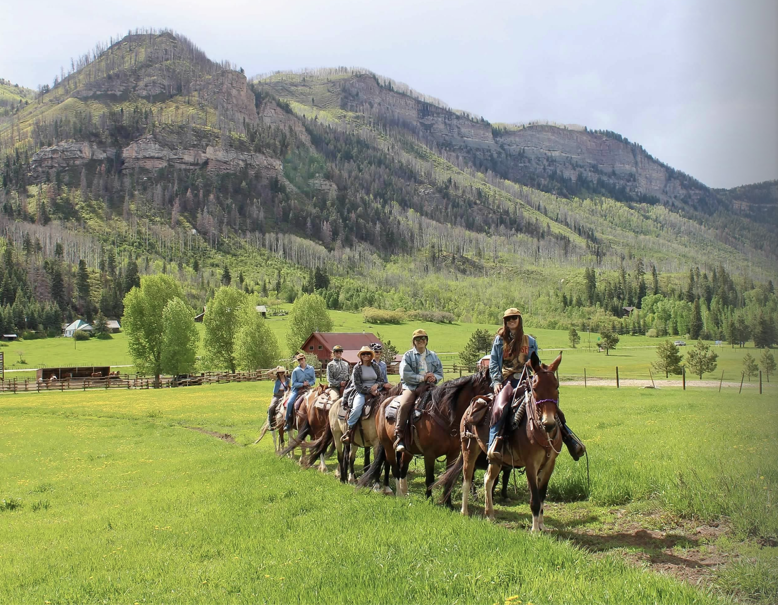 Screen Shot 2026-01-08 at 2.17.50 PM.png