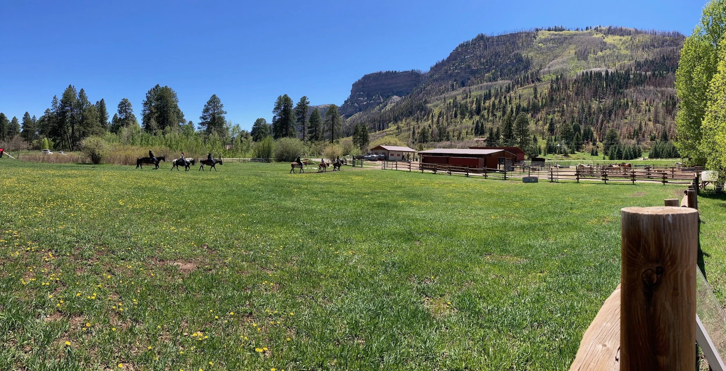 Bears Ranch Meadow Views