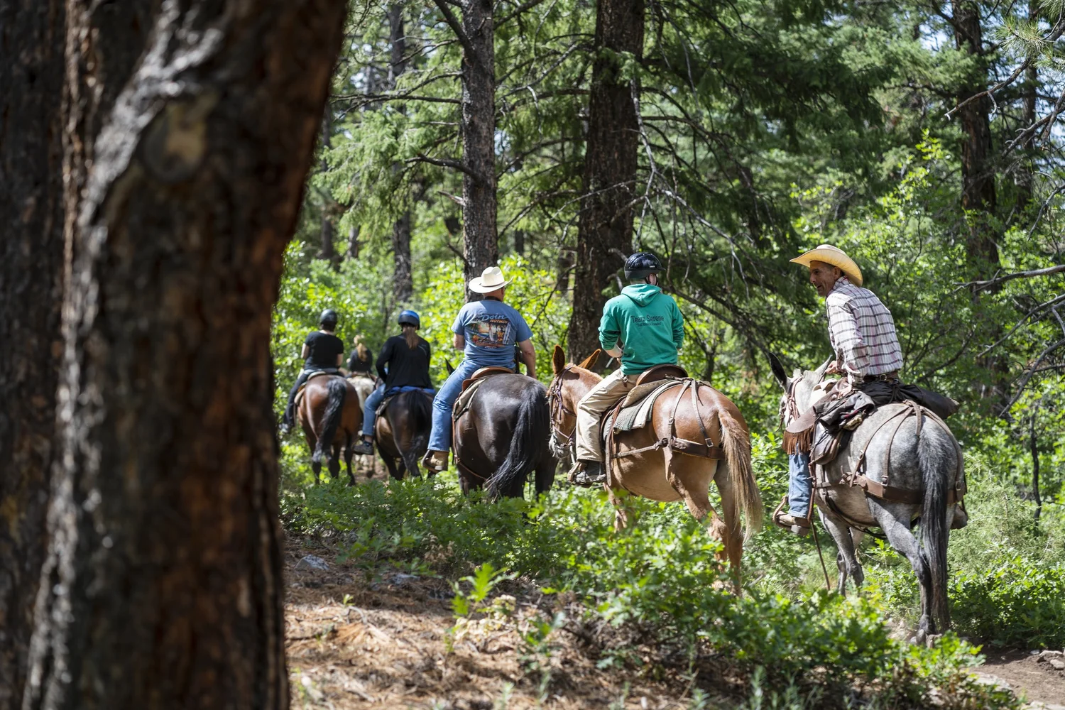 Bears Ranch | Durango, Colorado