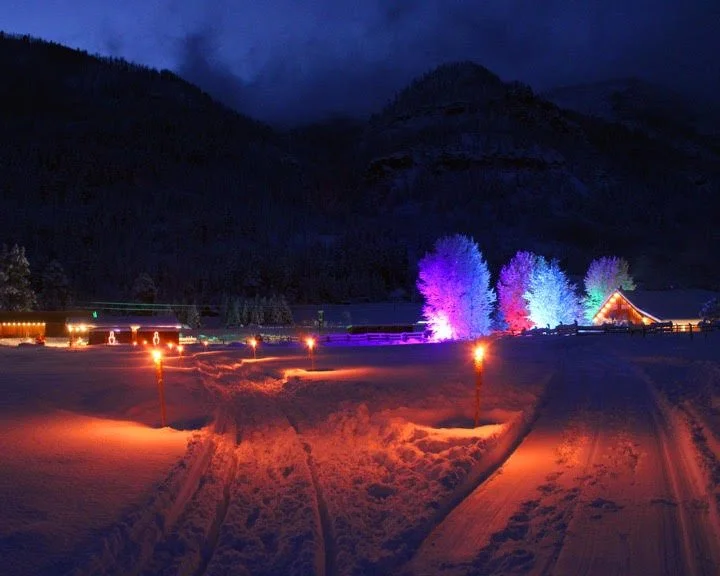 VIP Tiki torch slegh views