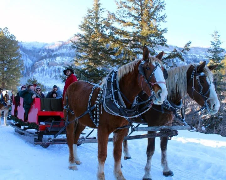 Family Sleigh Ride
