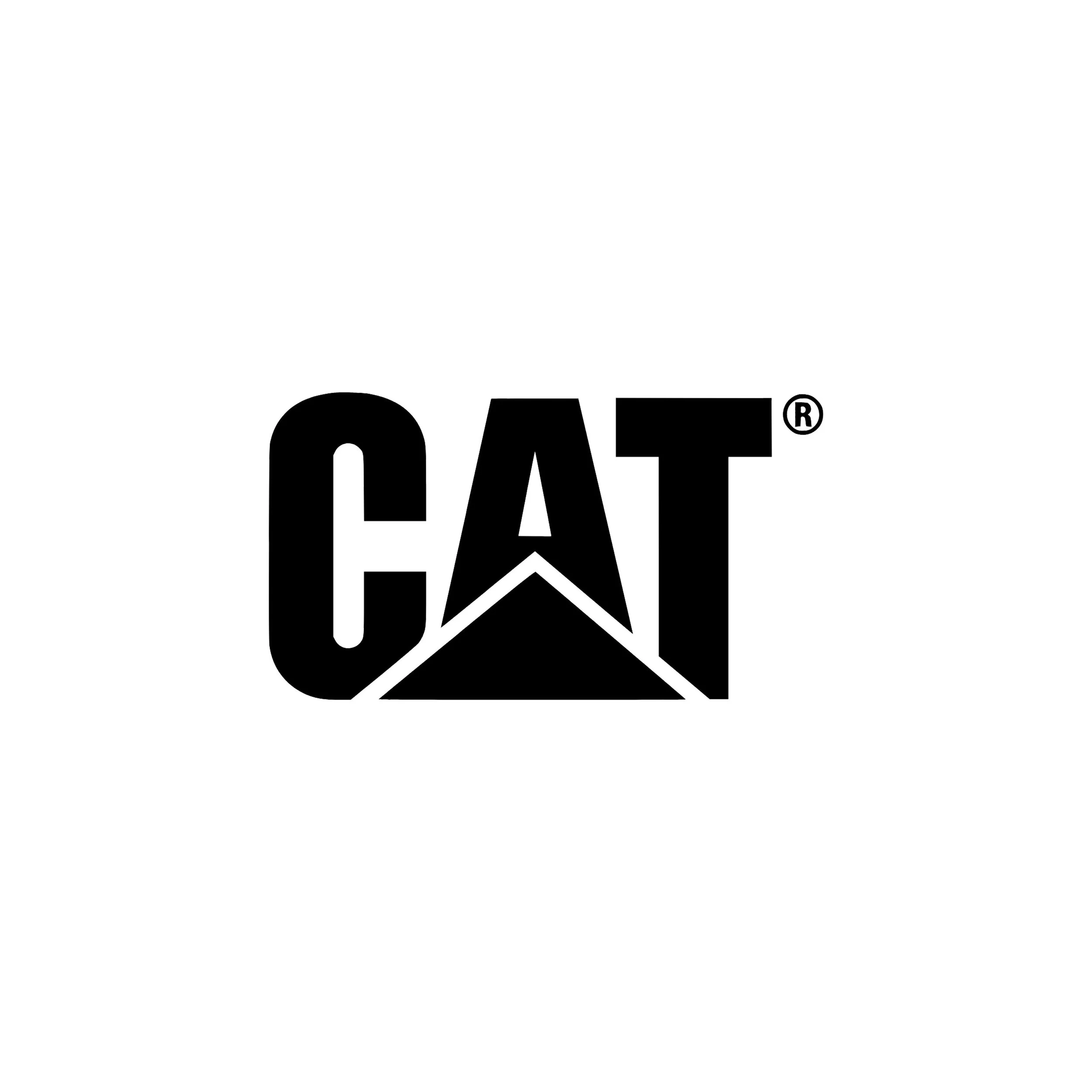 Cat.jpg