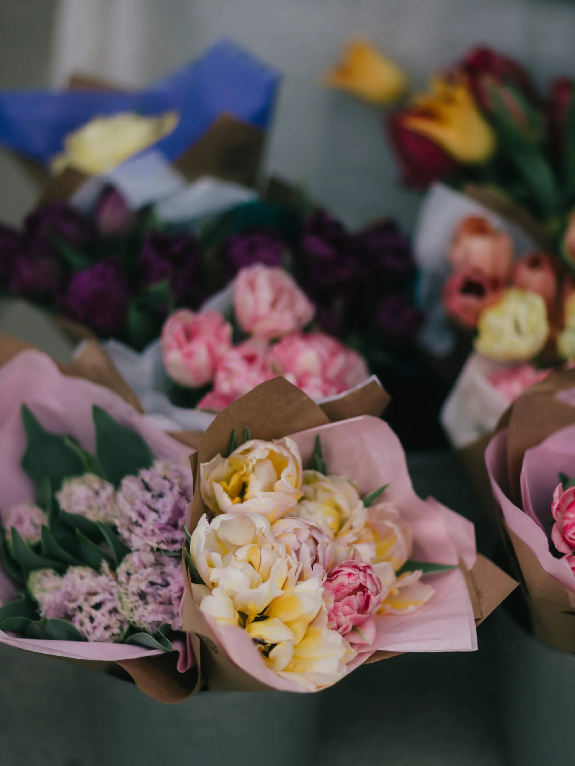 Salt spring Island Saturday Market Sydney Woodward Photography-2.jpg