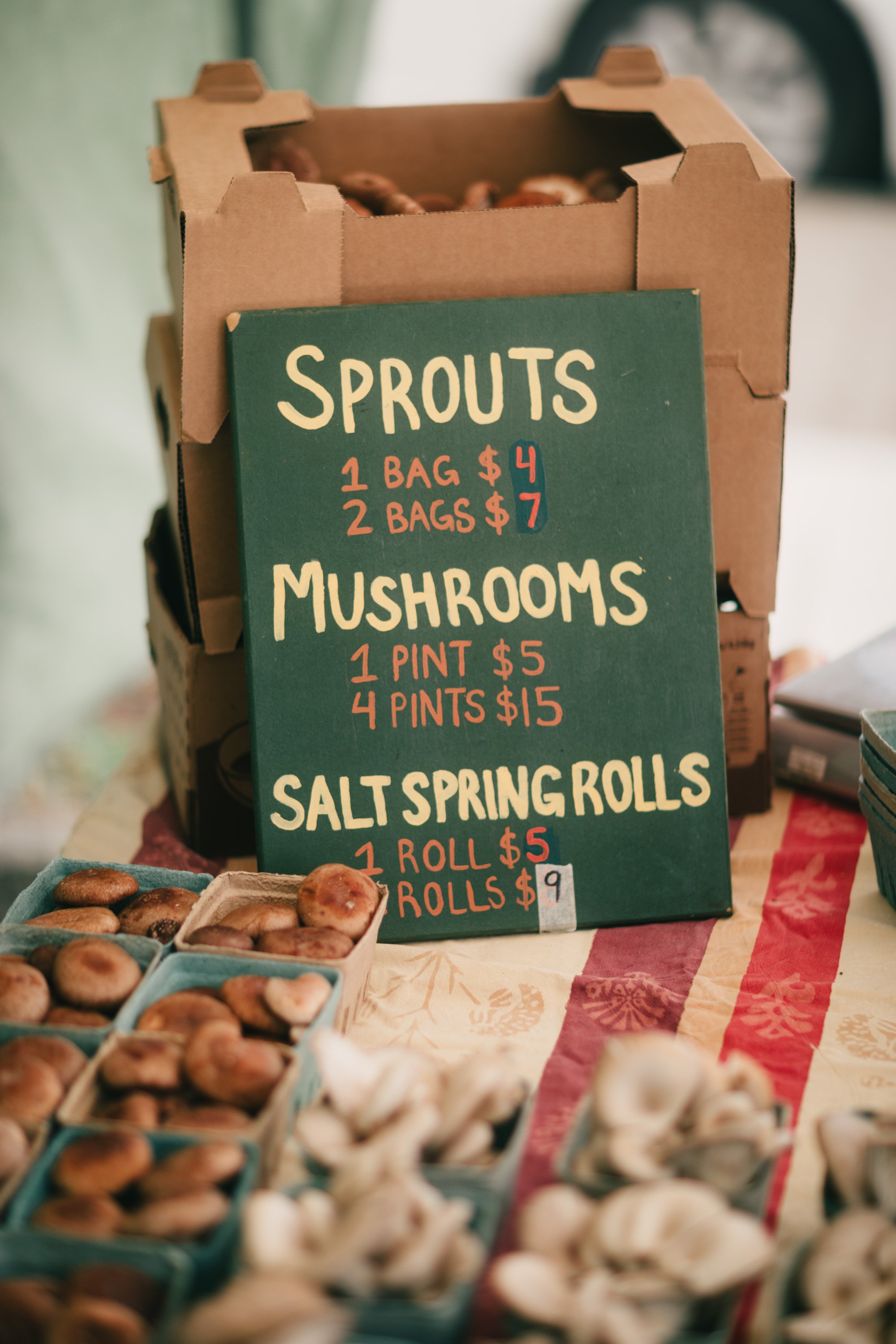 Salt Spring Tuesday Farmers' Market Sydney Woodward Photography -10.jpg