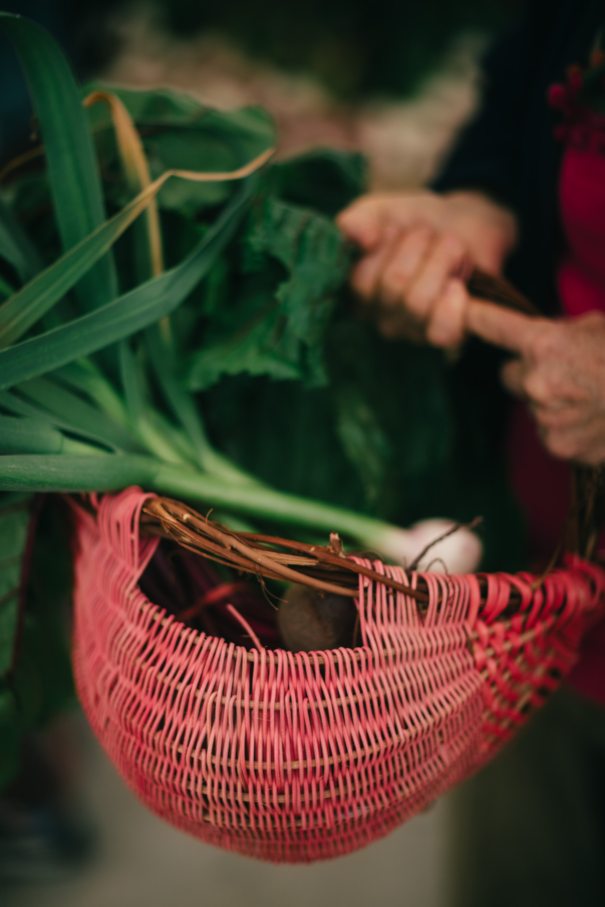 Salt Spring Tuesday Farmers' Market Sydney Woodward Photography -72.jpg