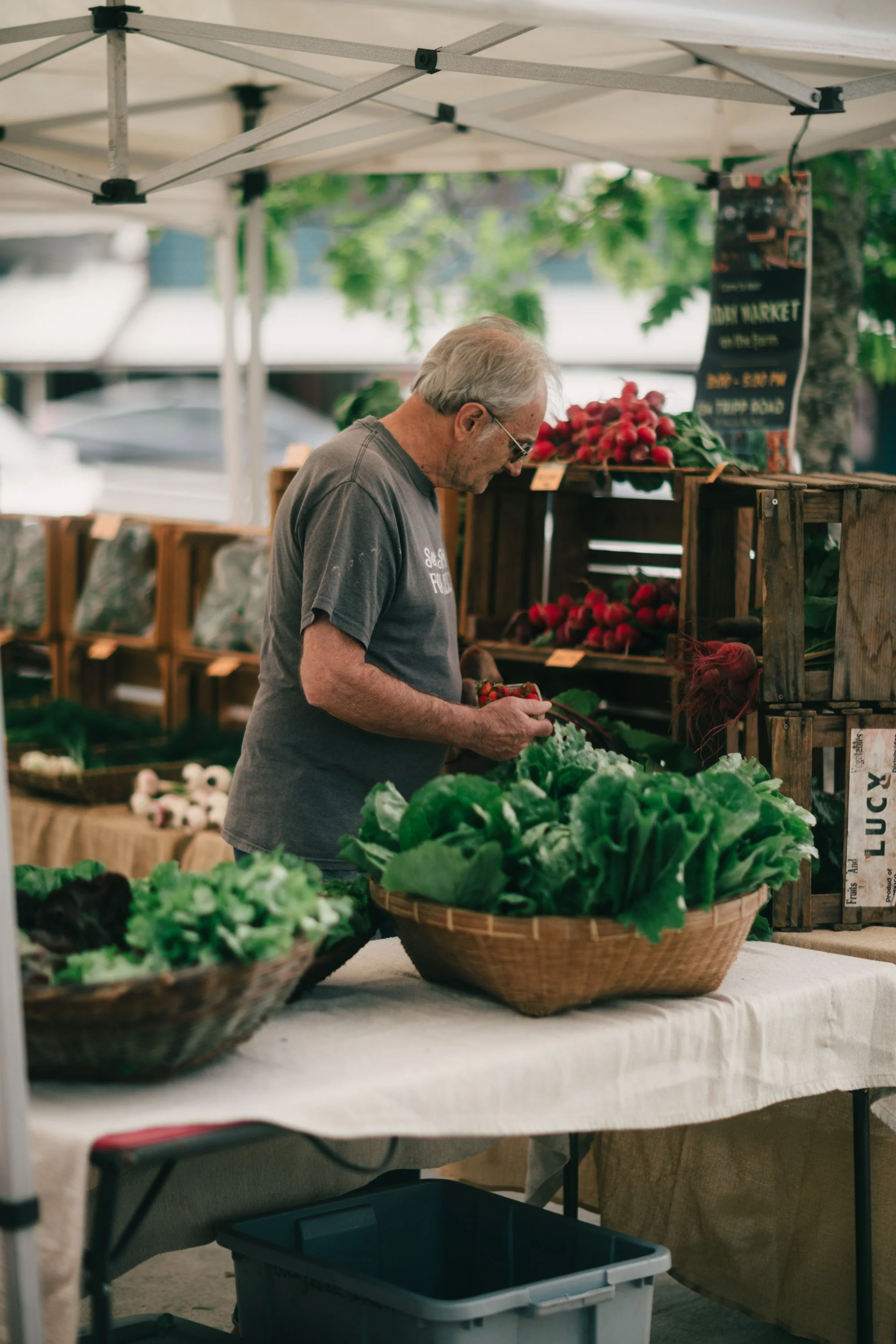 Salt Spring Tuesday Farmers' Market Sydney Woodward Photography -94.jpg
