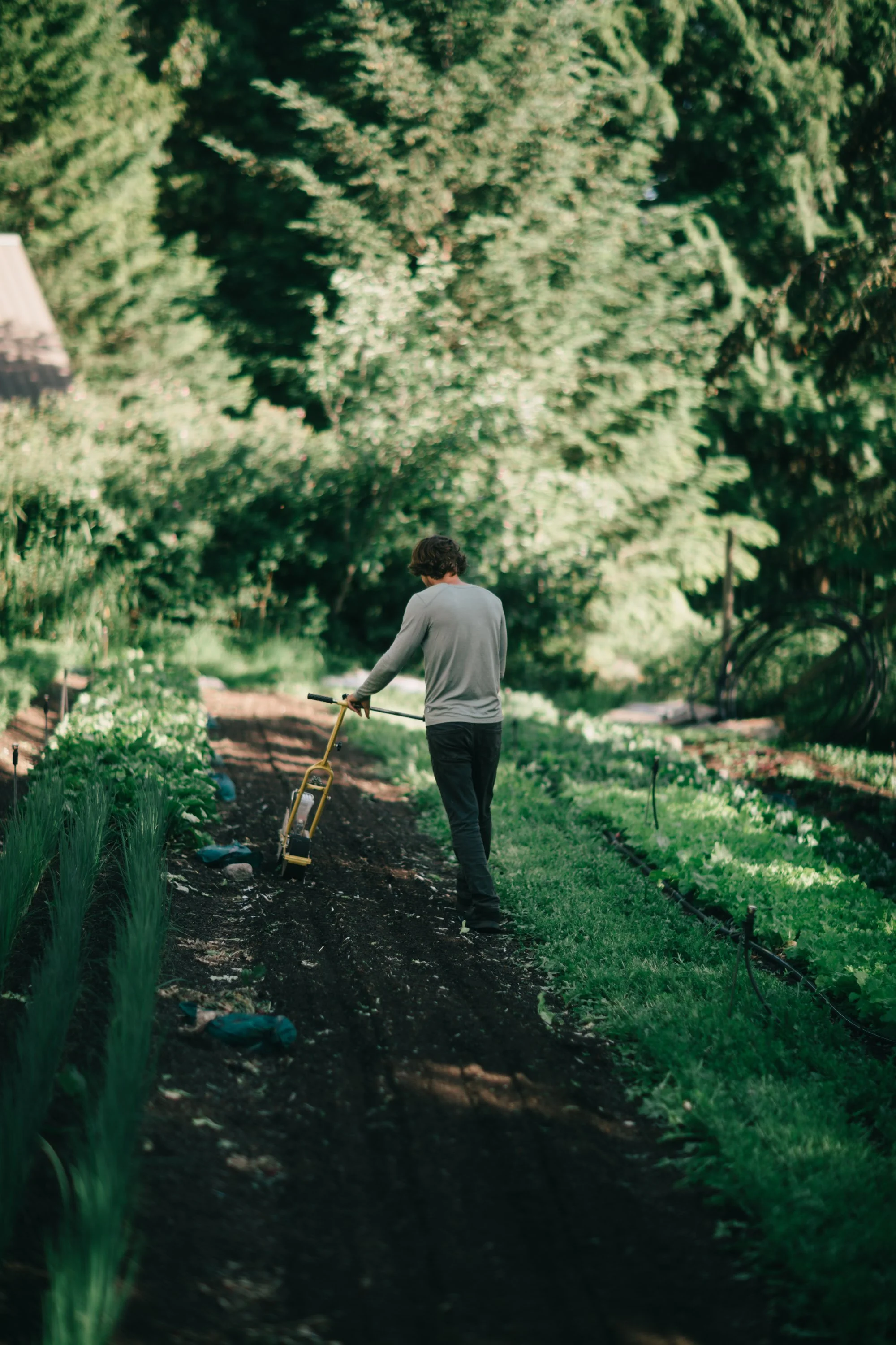 Backwoods Farm, Salt Spring Island Sydney Woodward Photography -6.jpg