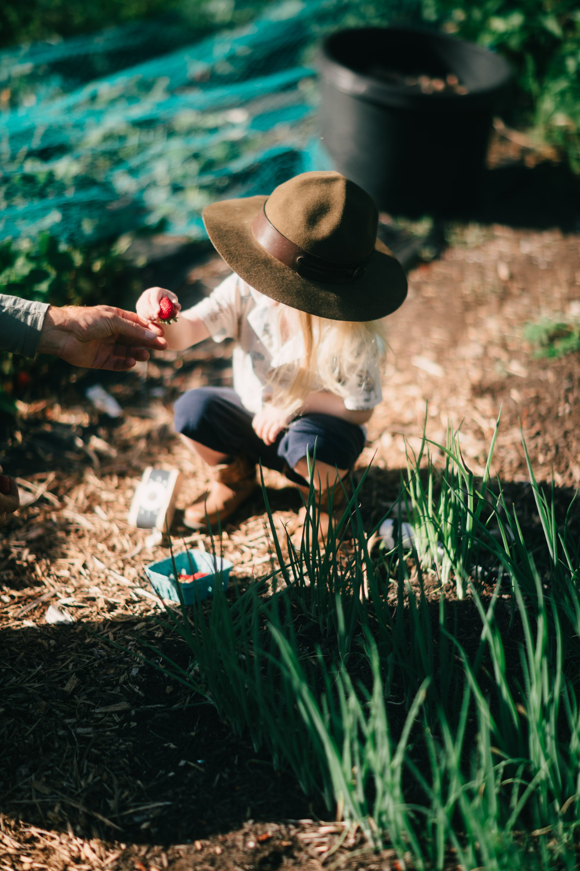 Backwoods Farm, Salt Spring Island Sydney Woodward Photography -29.jpg