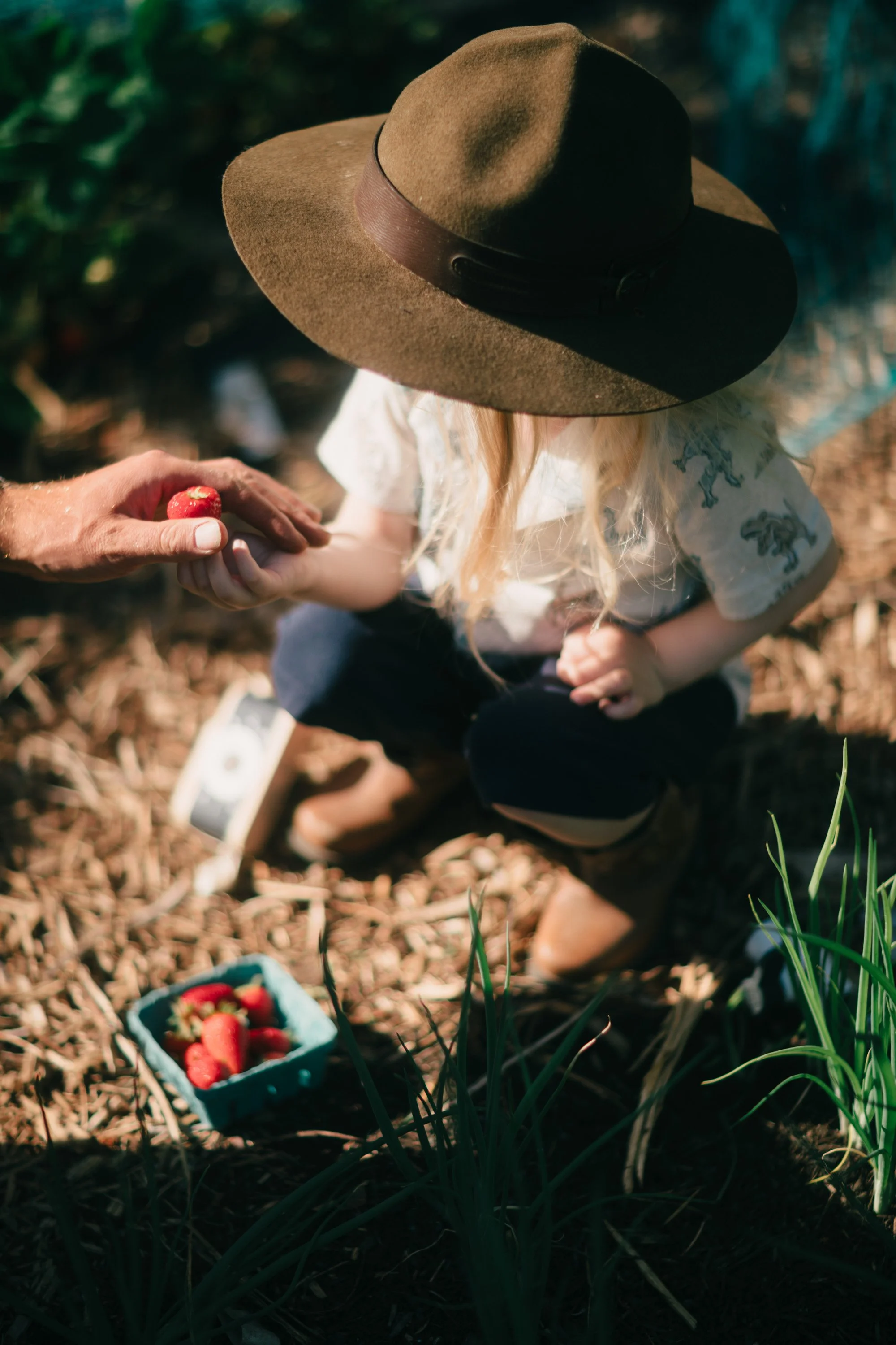 Backwoods Farm, Salt Spring Island Sydney Woodward Photography -33.jpg