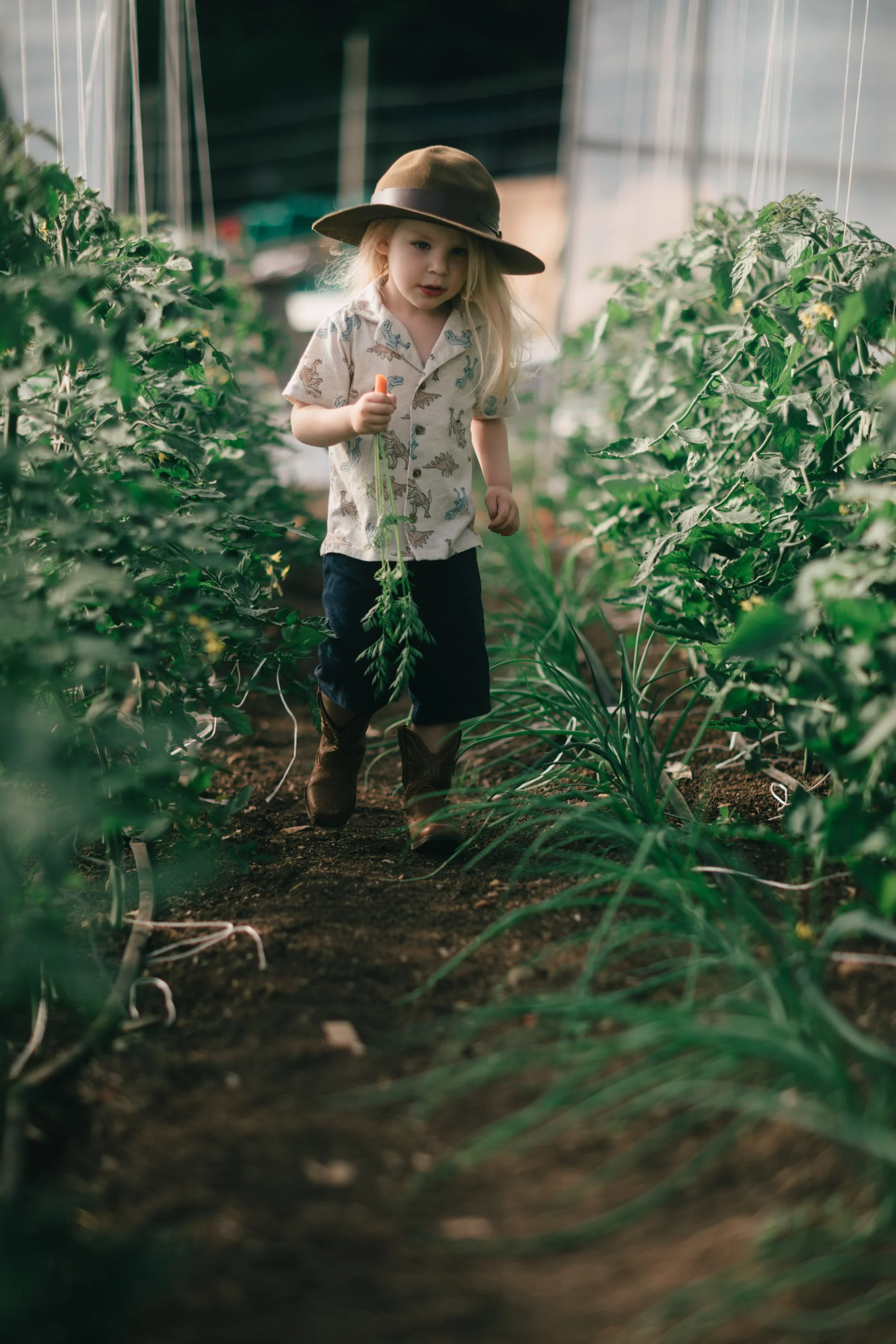 Backwoods Farm, Salt Spring Island Sydney Woodward Photography -43.jpg