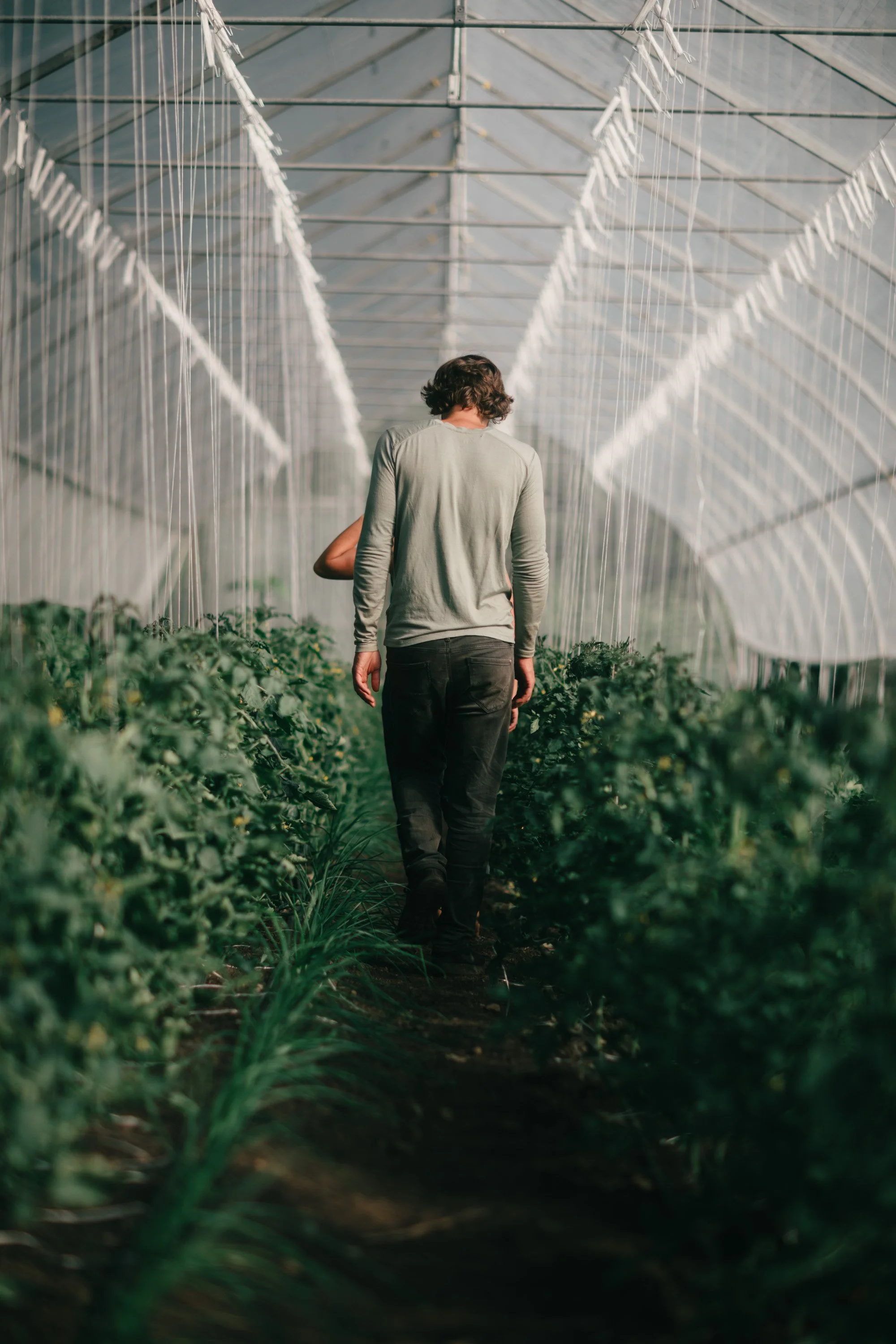 Backwoods Farm, Salt Spring Island Sydney Woodward Photography -53.jpg