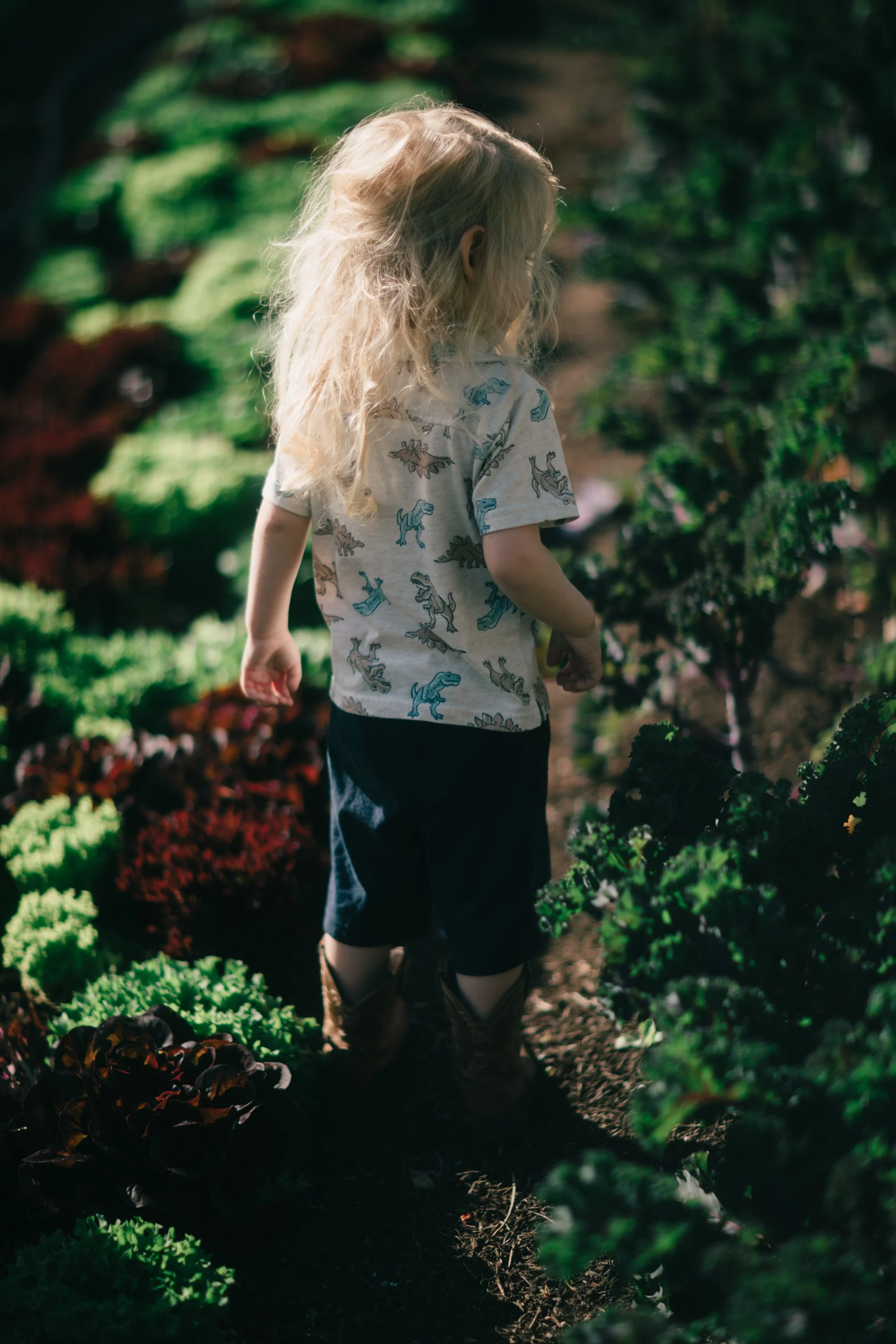 Backwoods Farm, Salt Spring Island Sydney Woodward Photography -82.jpg