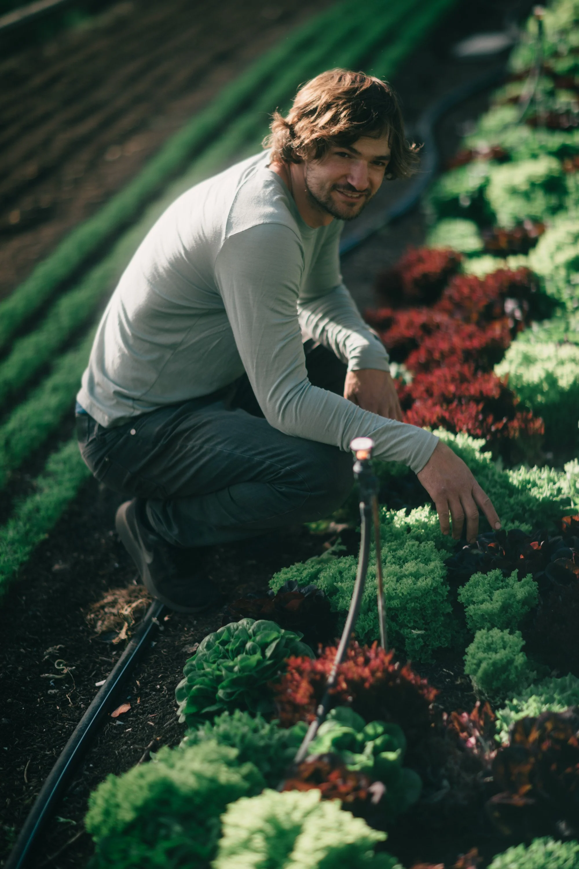 Backwoods Farm, Salt Spring Island Sydney Woodward Photography -83.jpg