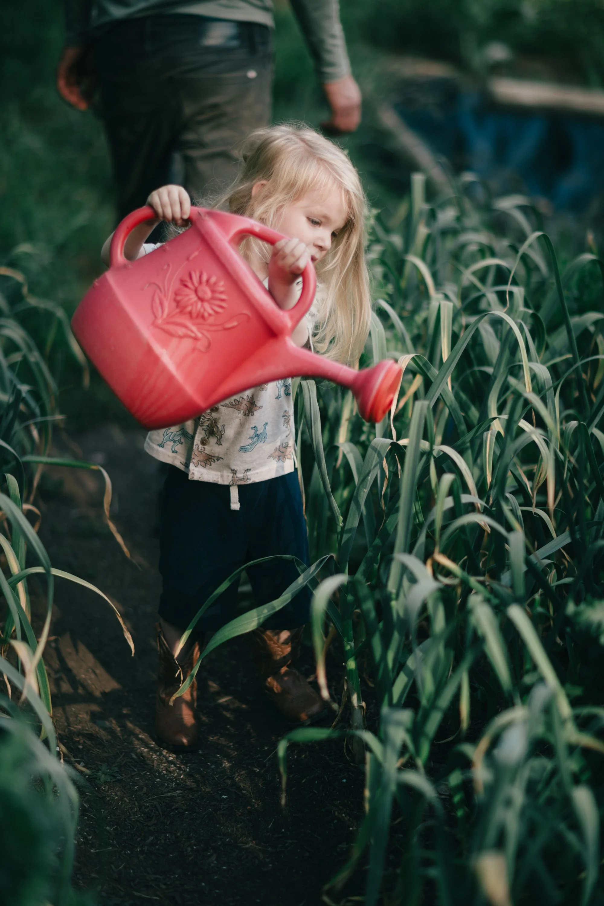 Backwoods Farm, Salt Spring Island Sydney Woodward Photography -88.jpg