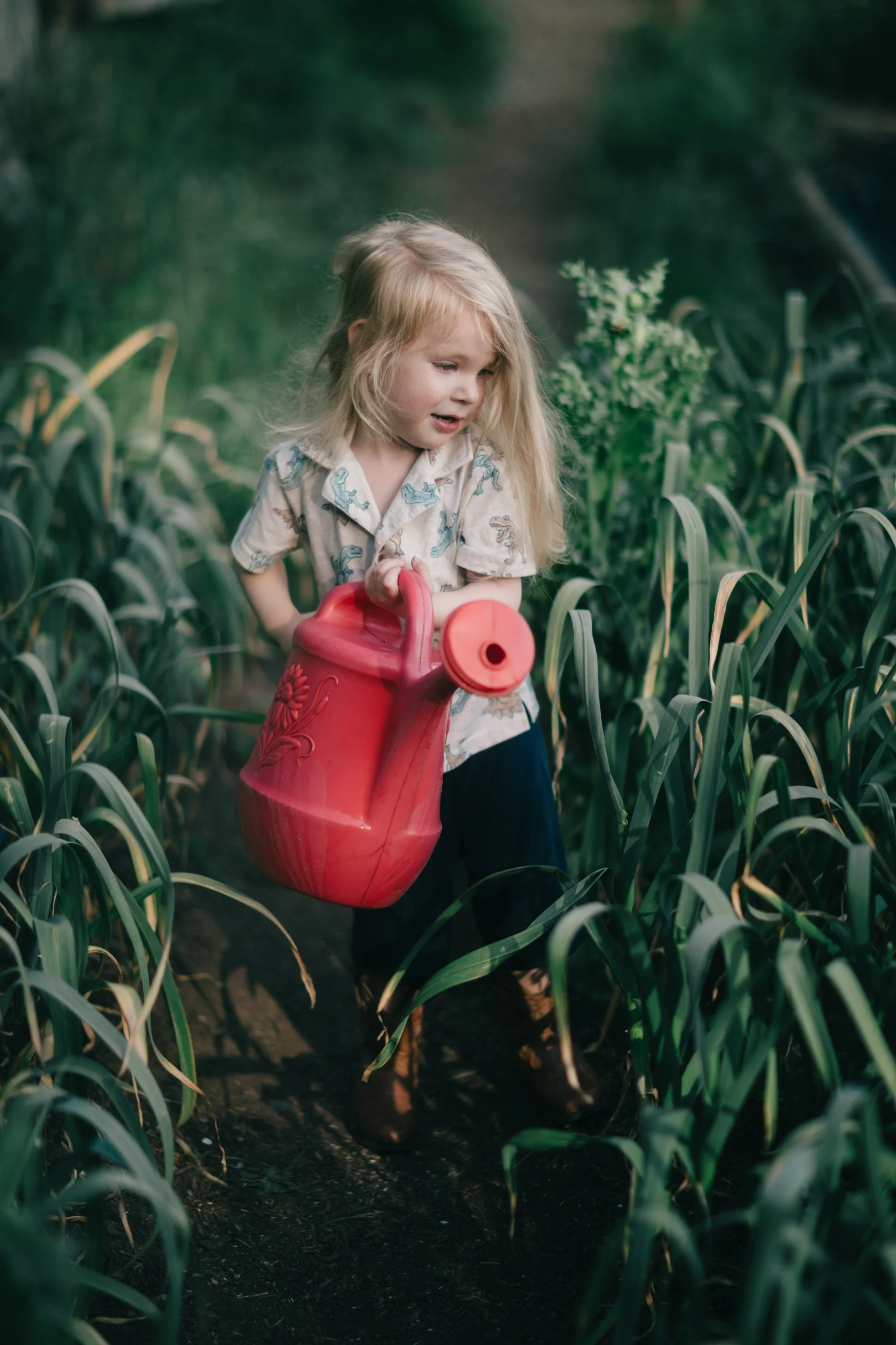 Backwoods Farm, Salt Spring Island Sydney Woodward Photography -91.jpg