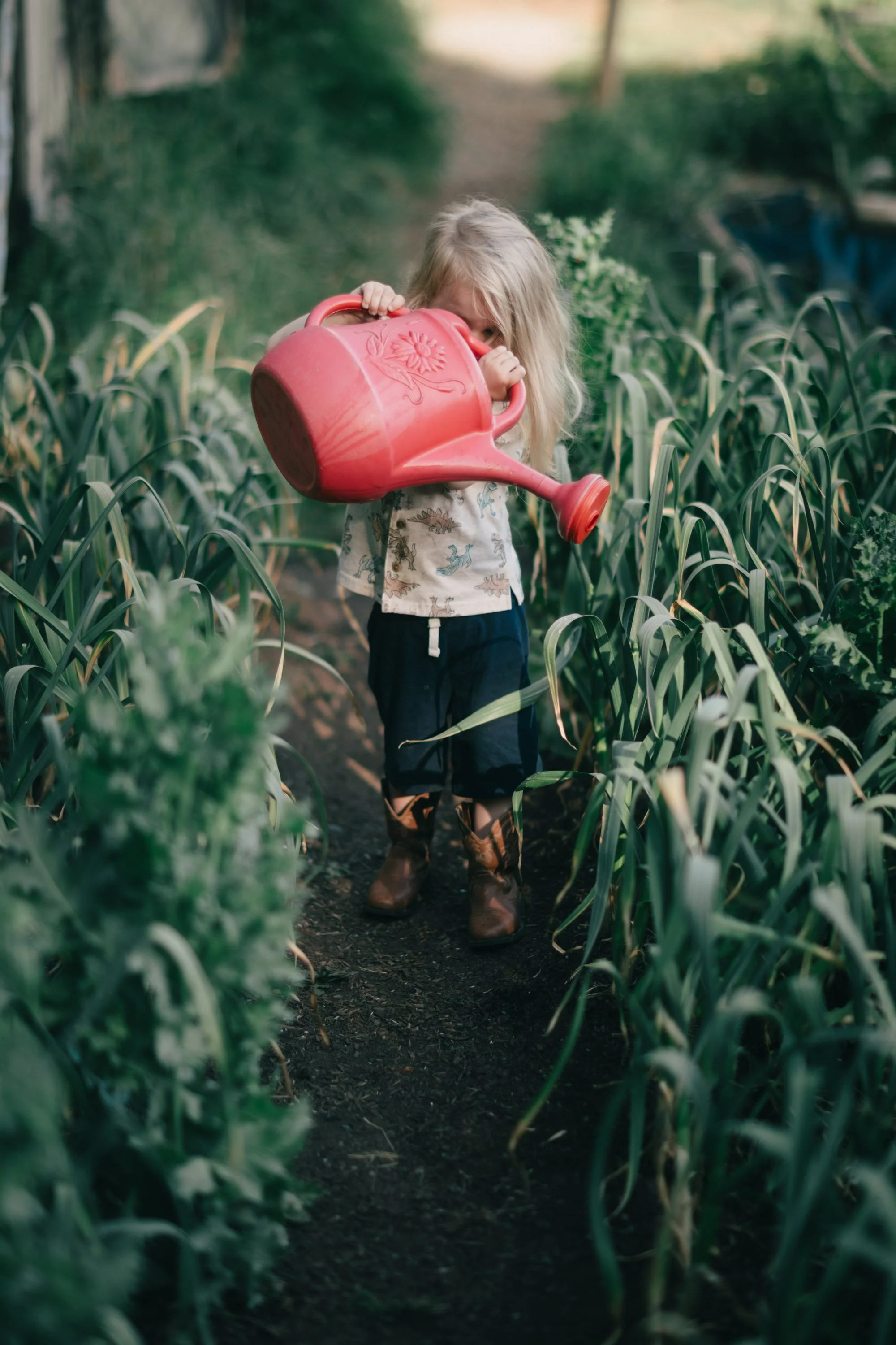 Backwoods Farm, Salt Spring Island Sydney Woodward Photography -93.jpg